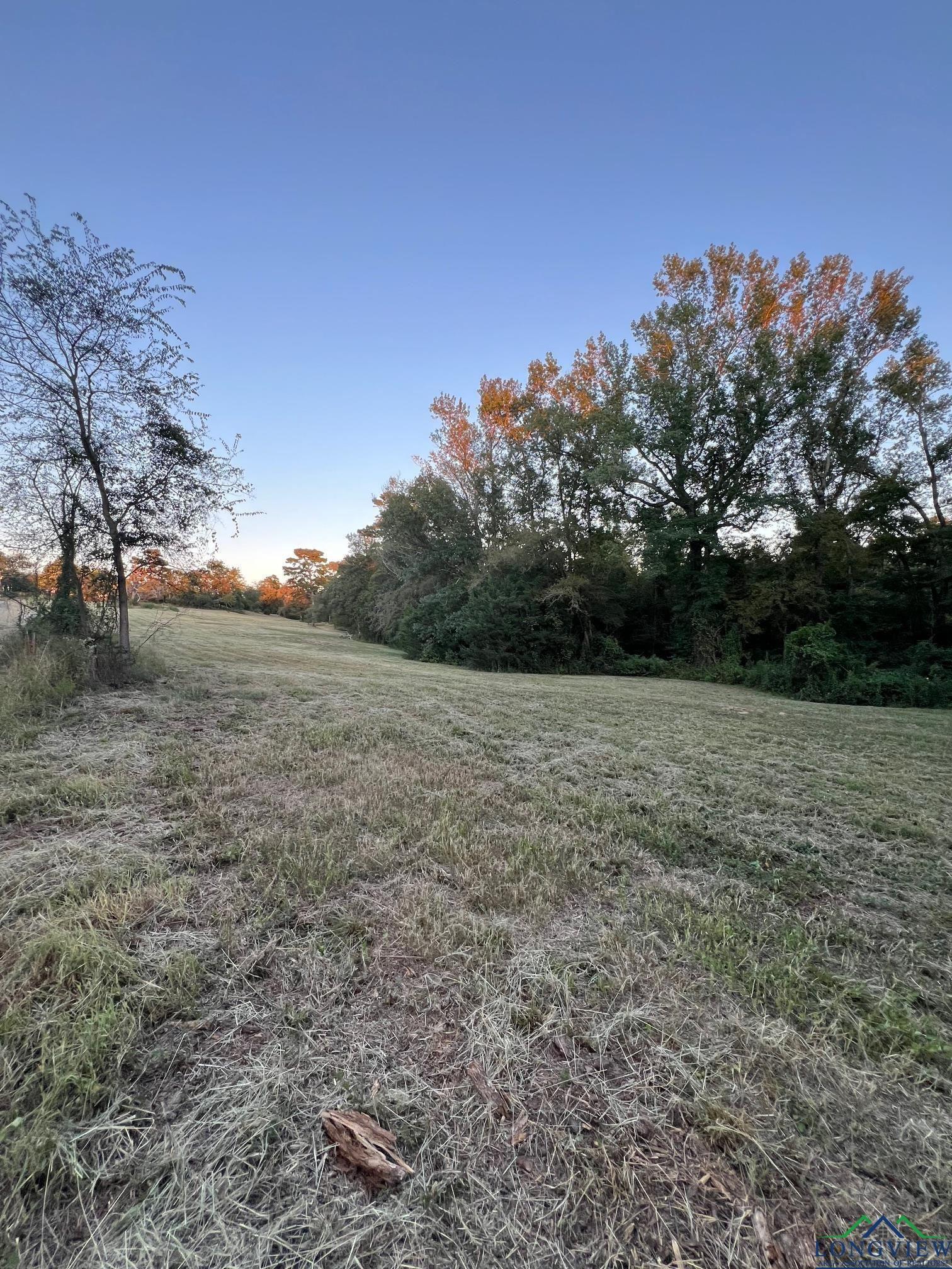 TBD Stegall, Big Sandy, Texas image 7