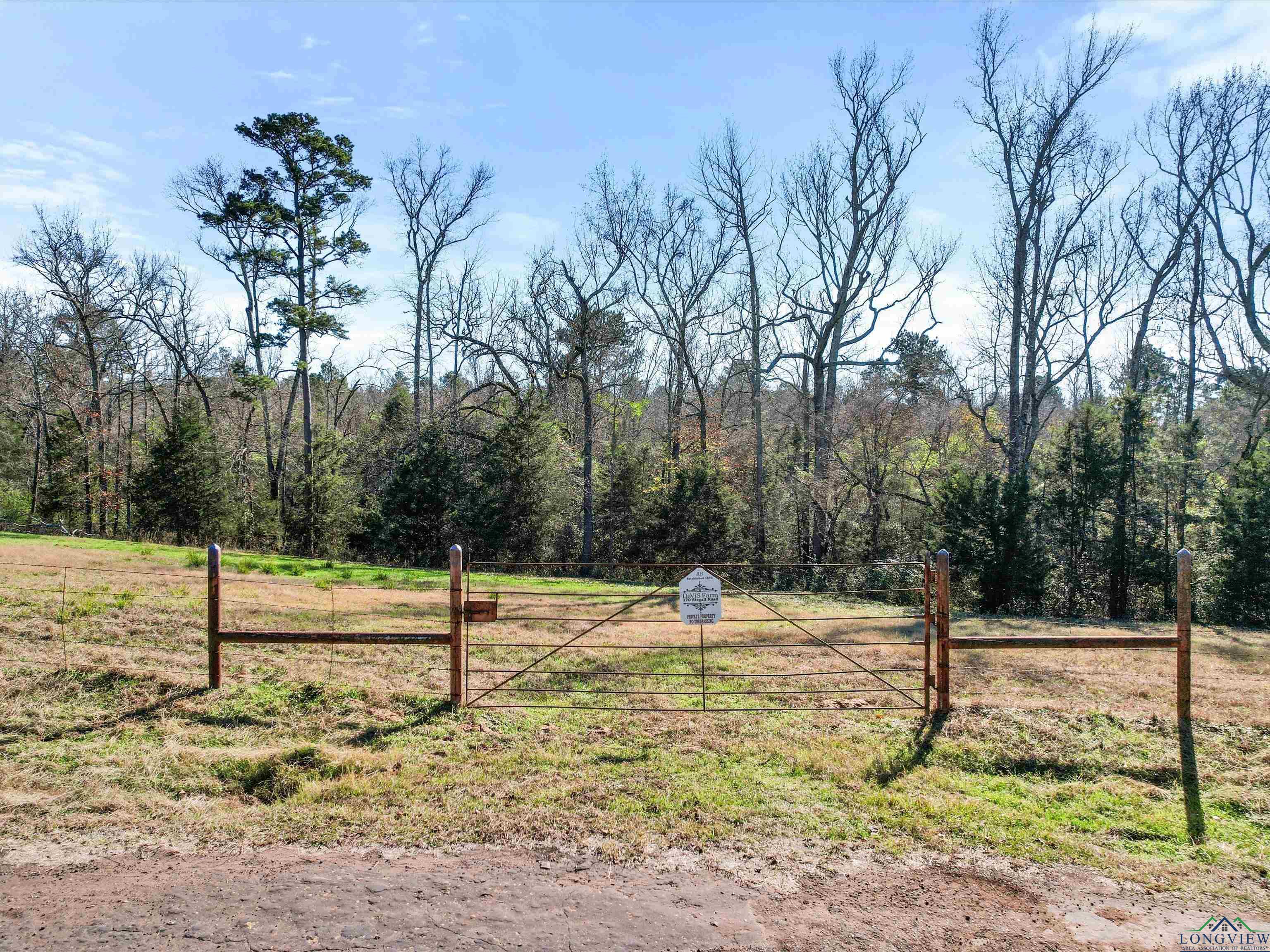 TBD Stegall, Big Sandy, Texas image 14