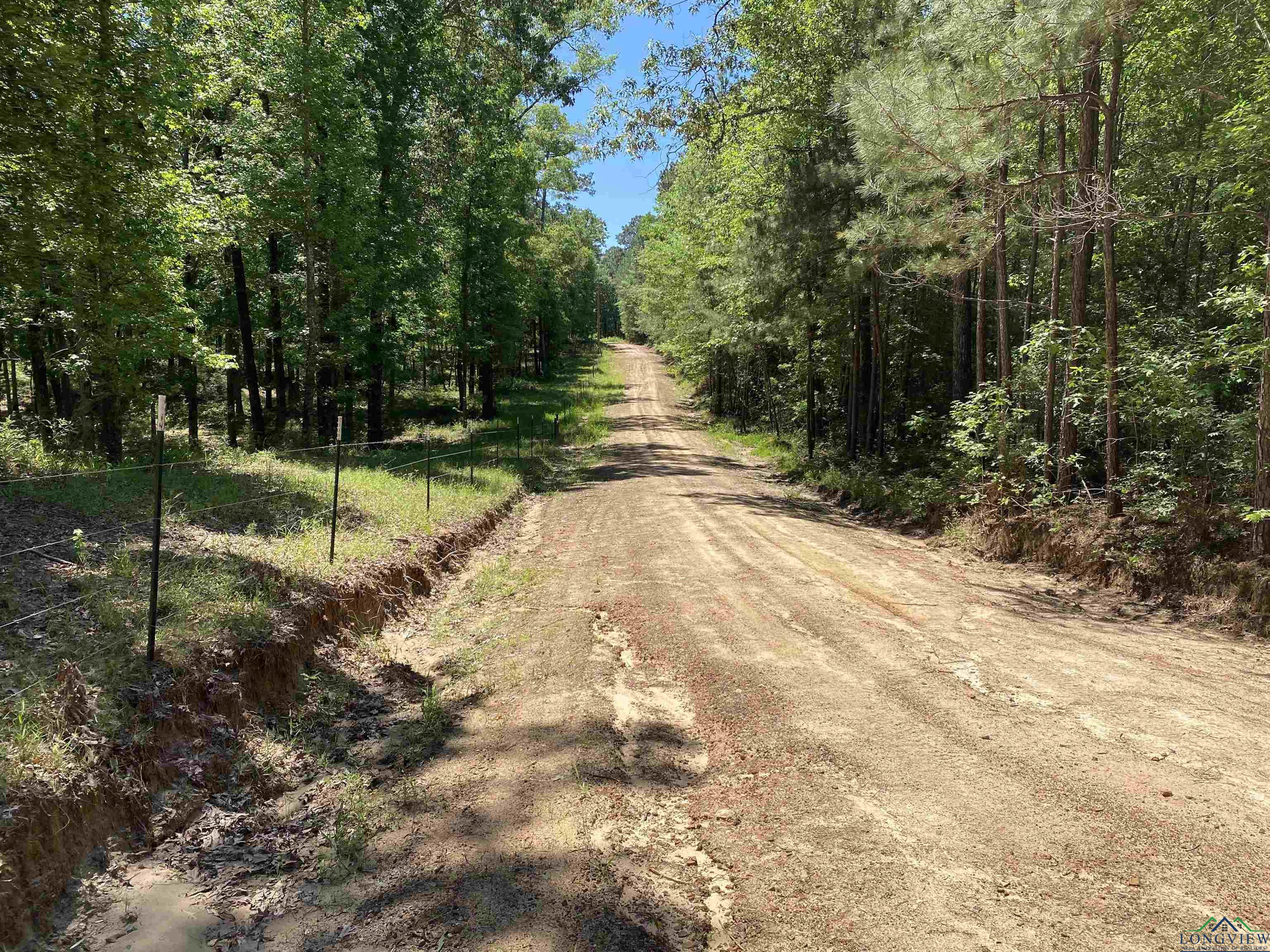 275 S Snyder Camp Rd, Shelbyville, Texas image 26