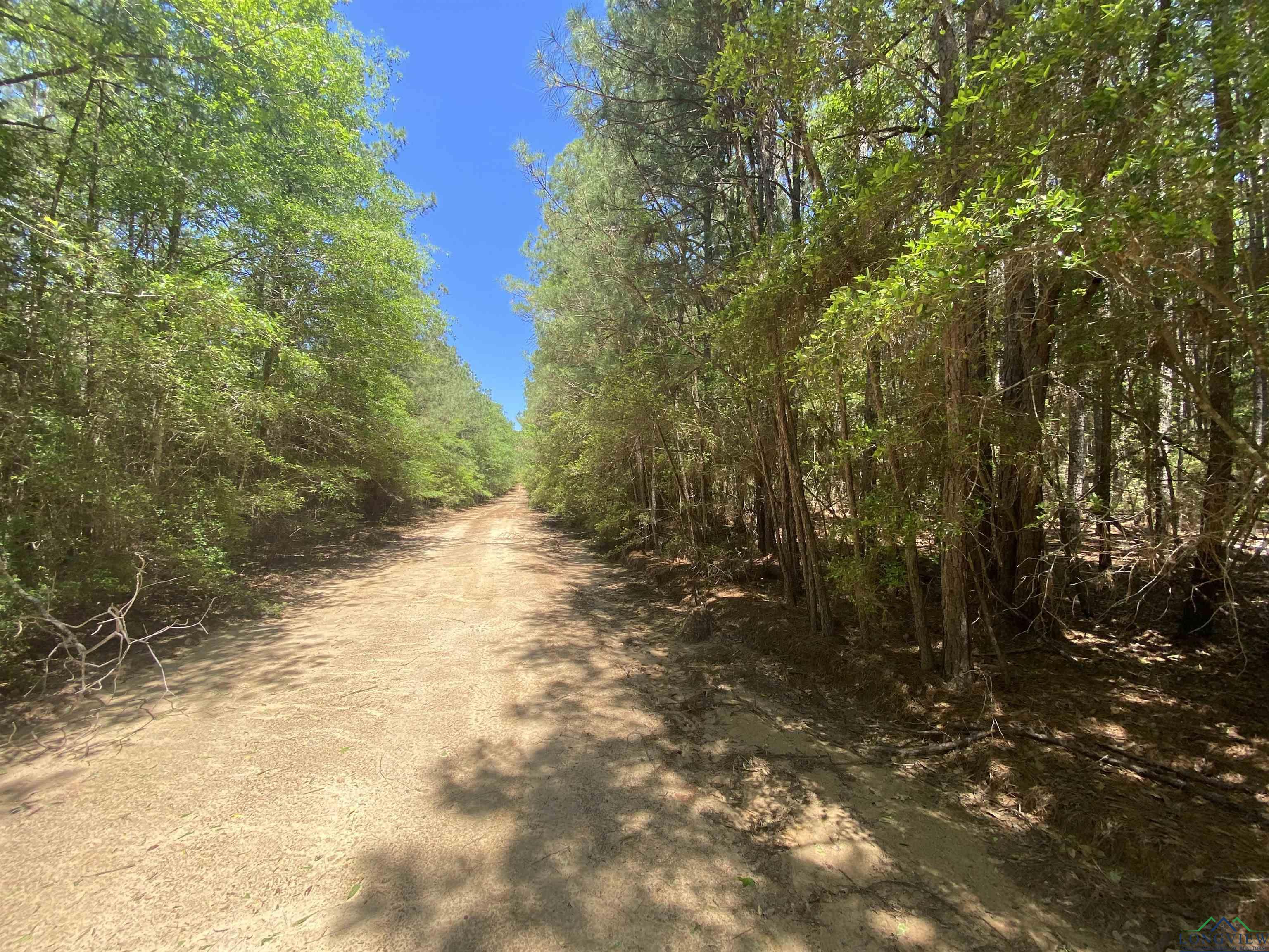 275 S Snyder Camp Rd, Shelbyville, Texas image 24