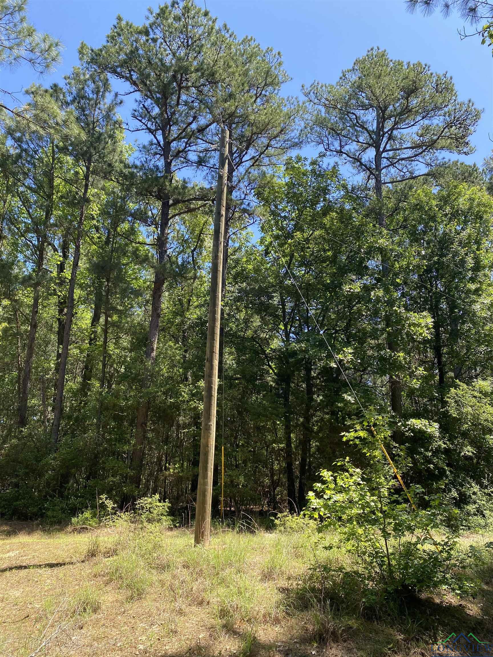 275 S Snyder Camp Rd, Shelbyville, Texas image 6