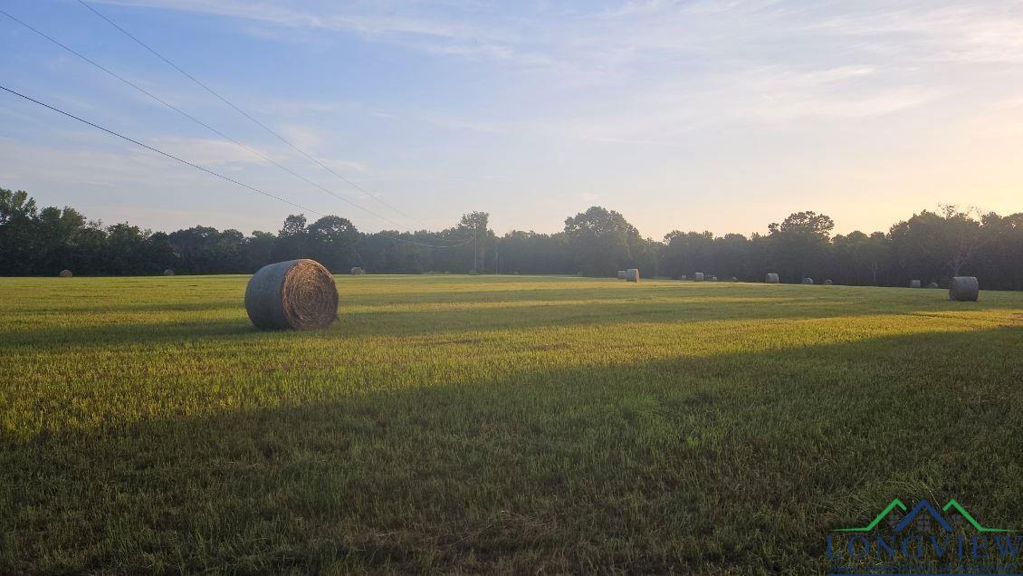 2683 Cr 1316, Rusk, Texas image 35