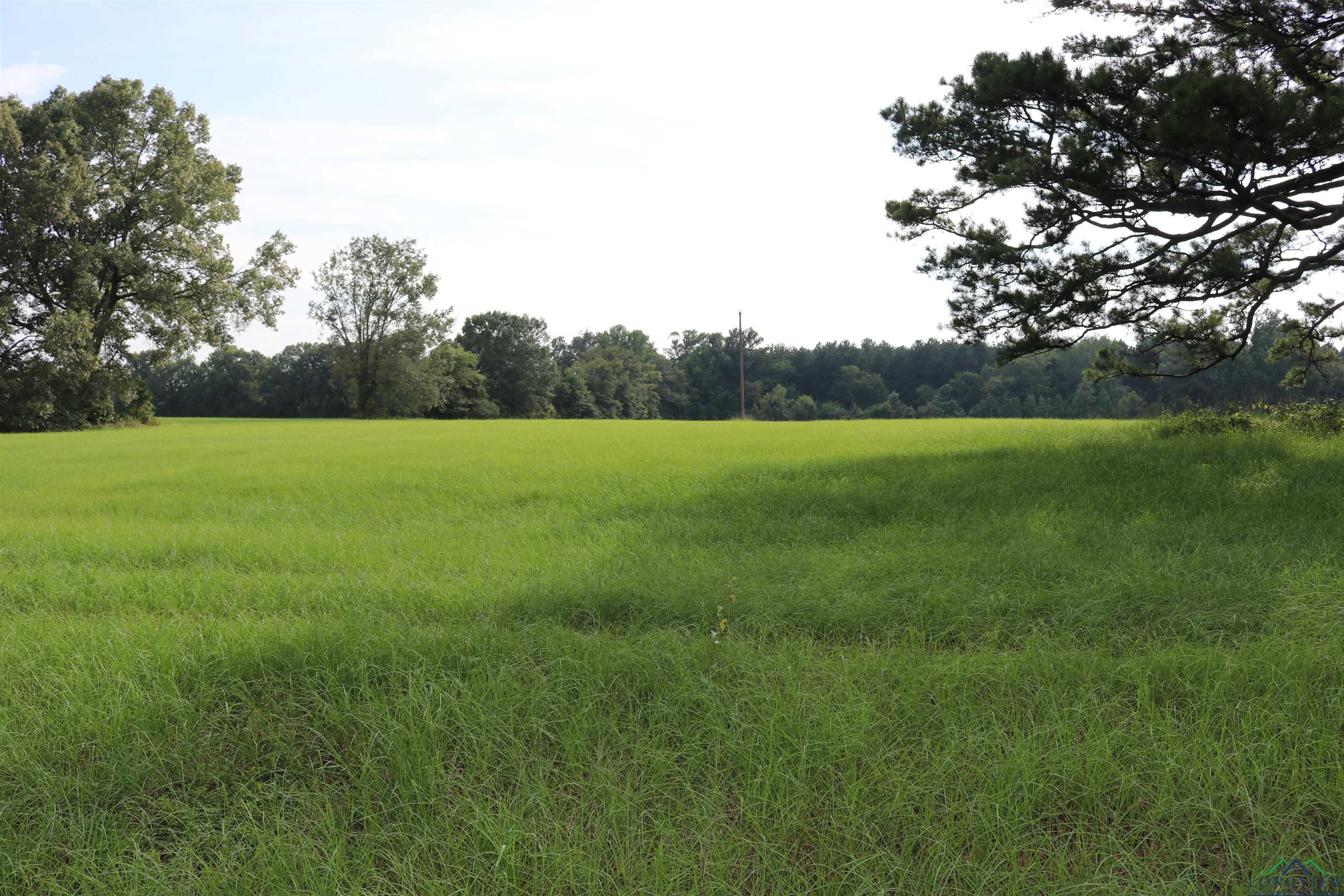 2683 Cr 1316, Rusk, Texas image 39