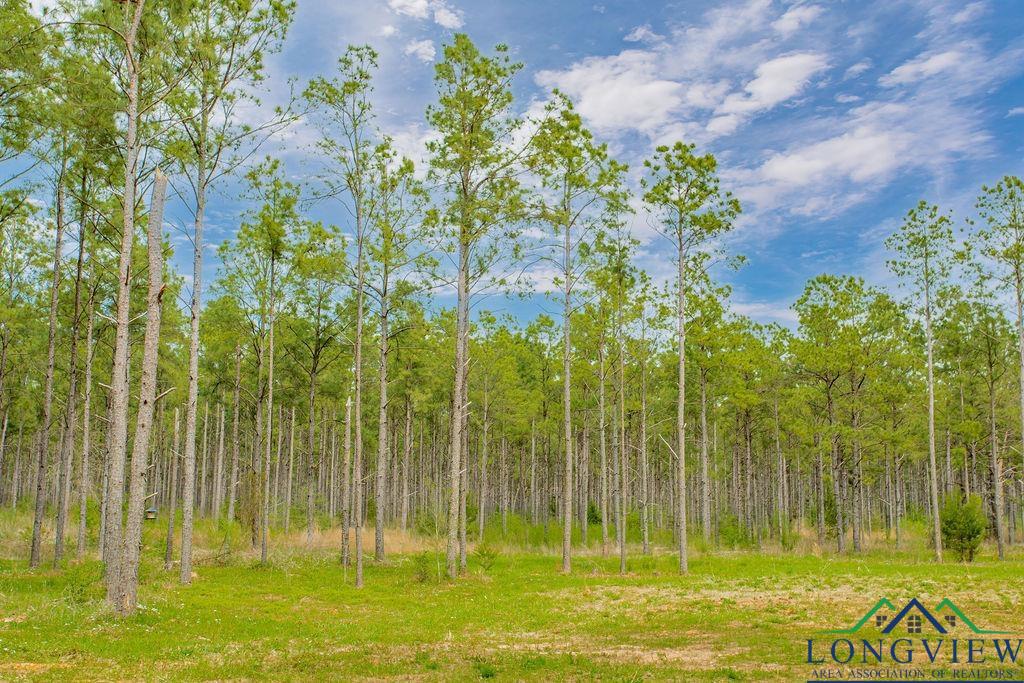 177 Red Oak Rd, Hallsville, Texas image 1