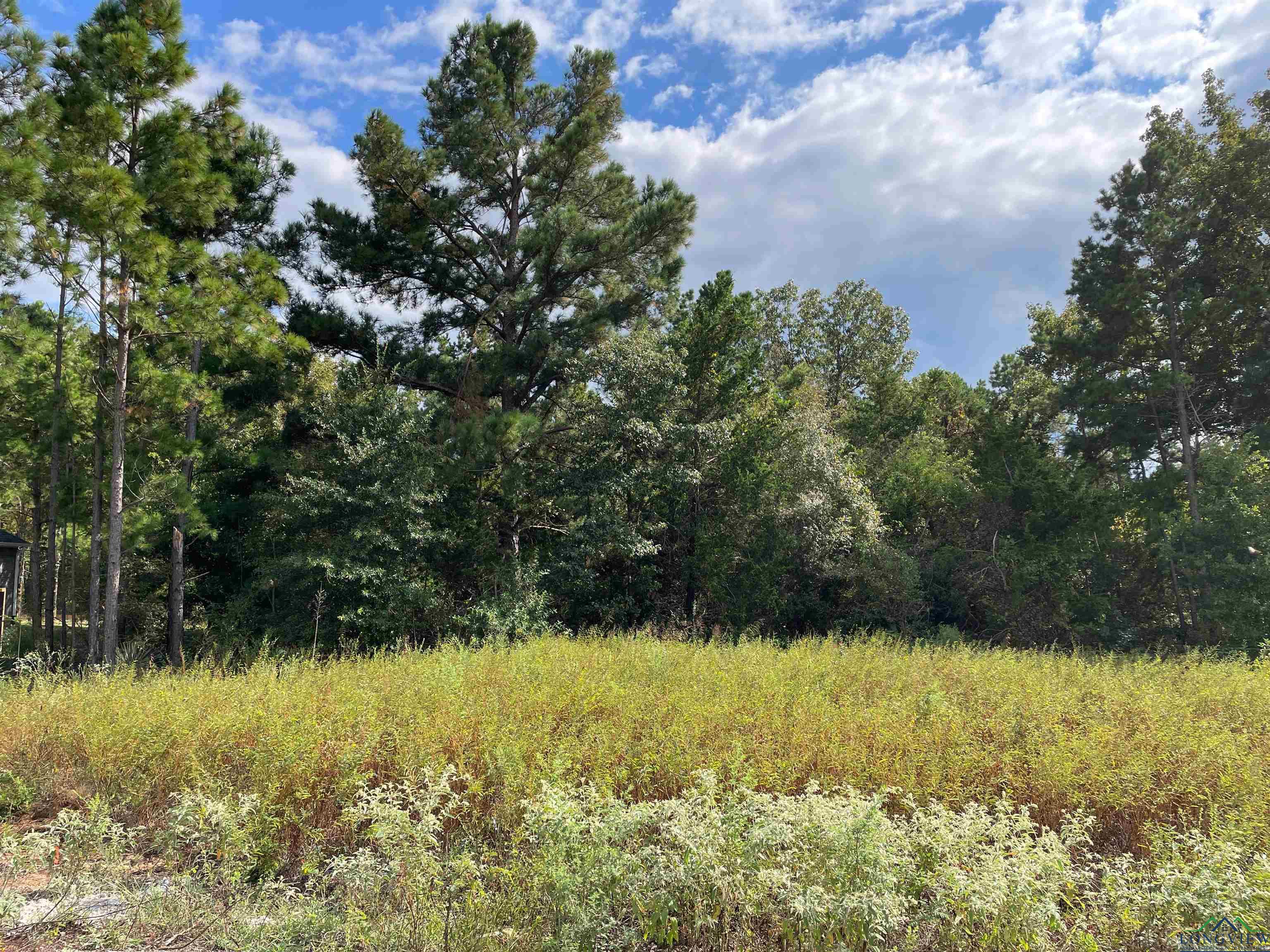 19363 Cedarpark Place Lot 33, Lindale, Texas image 1