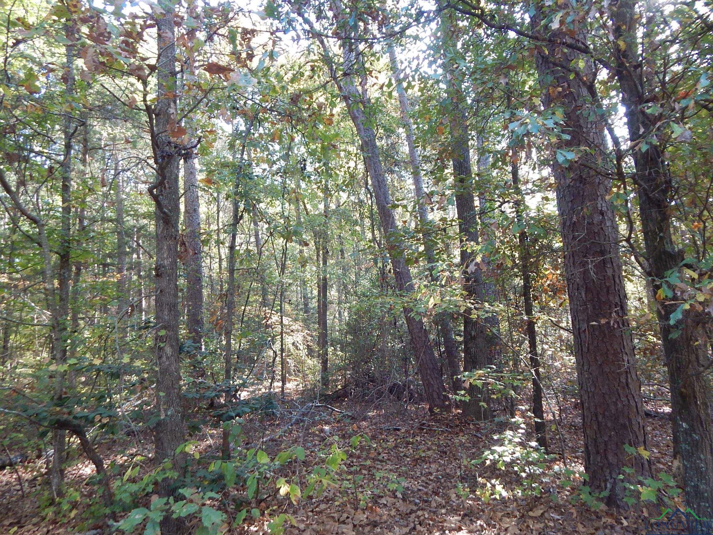 TBD Johnson Rd, Gilmer, Texas image 11