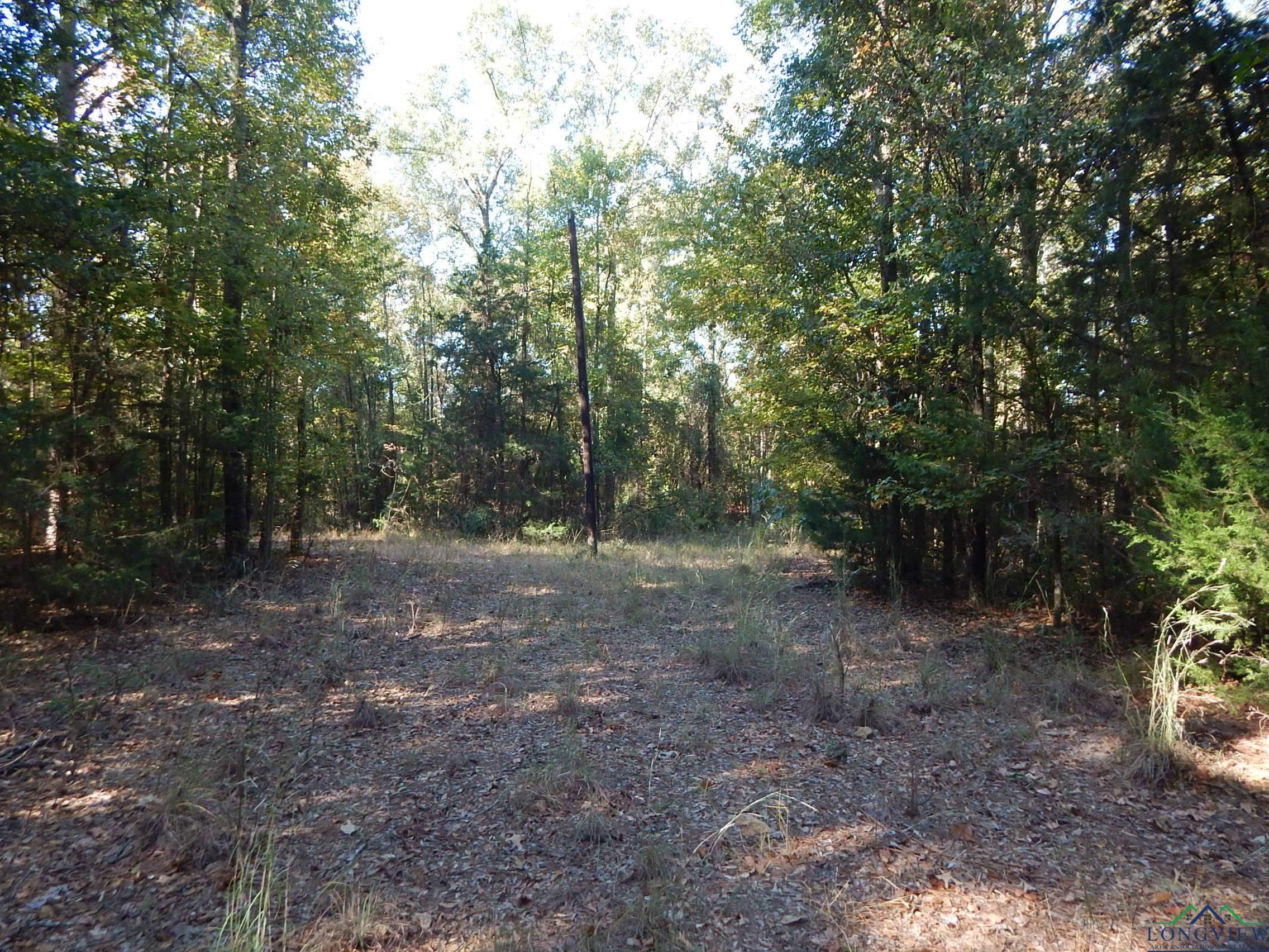 TBD Johnson Rd, Gilmer, Texas image 12