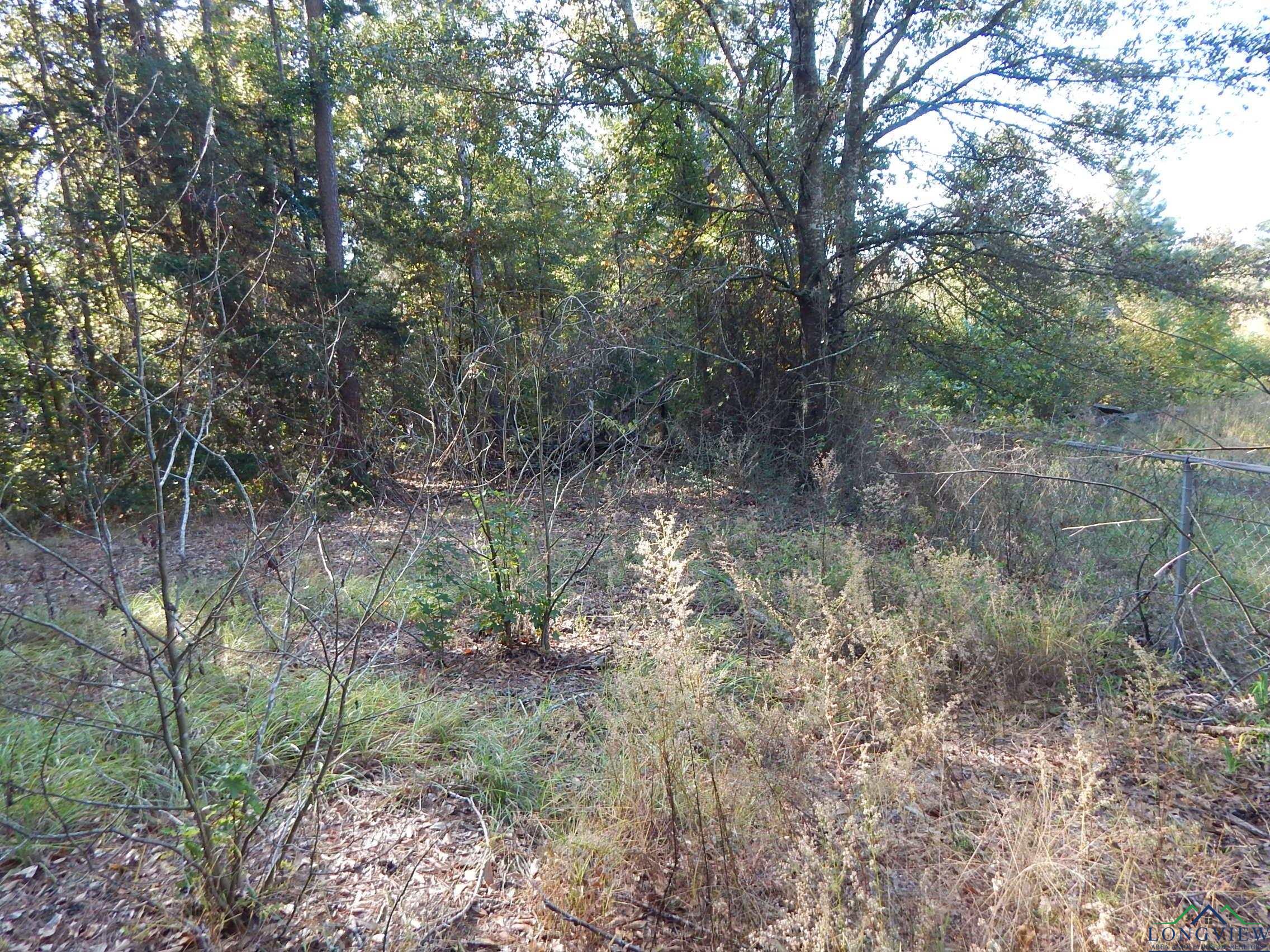 TBD Johnson Rd, Gilmer, Texas image 6