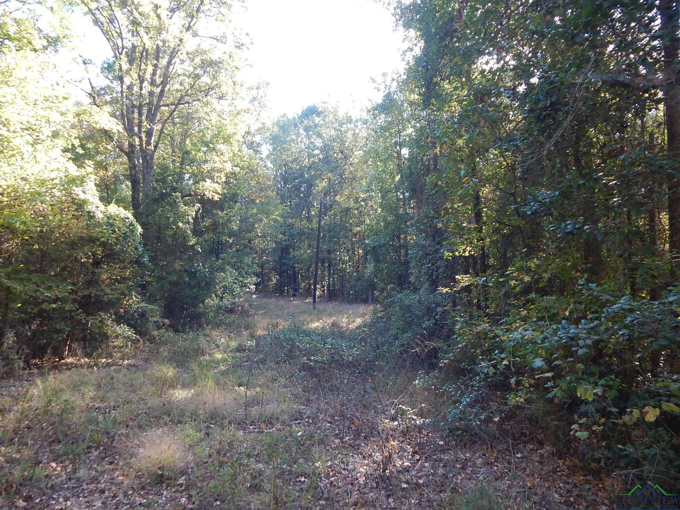 TBD Johnson Rd, Gilmer, Texas image 7