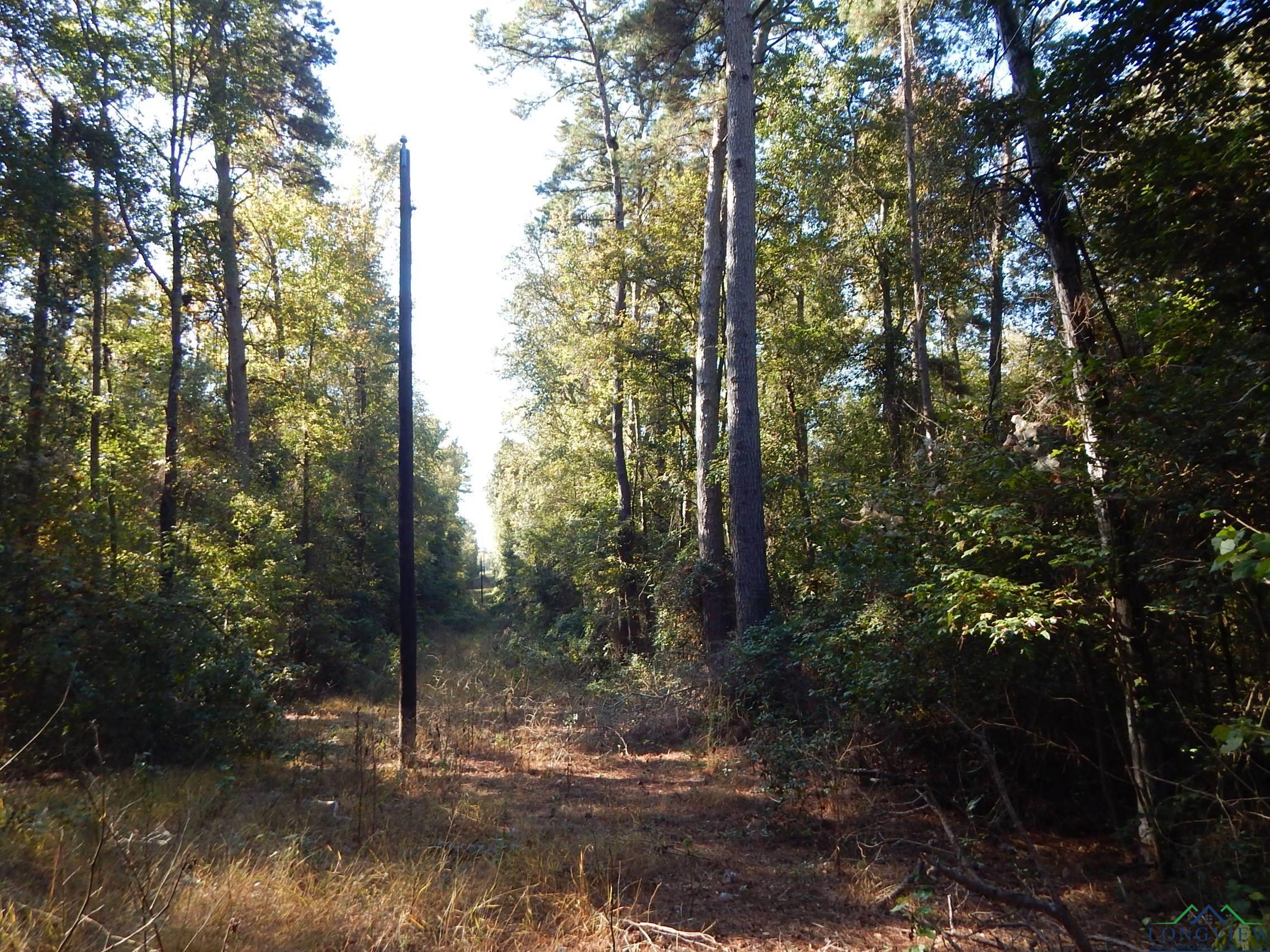 TBD Johnson Rd, Gilmer, Texas image 10