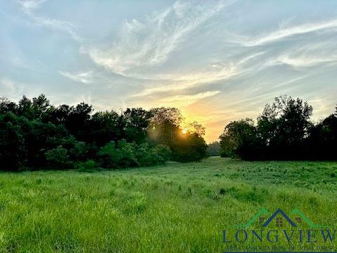 Vacant Land For Sale - N Fm 1002 East<br/> Winnsboro, TX 75494