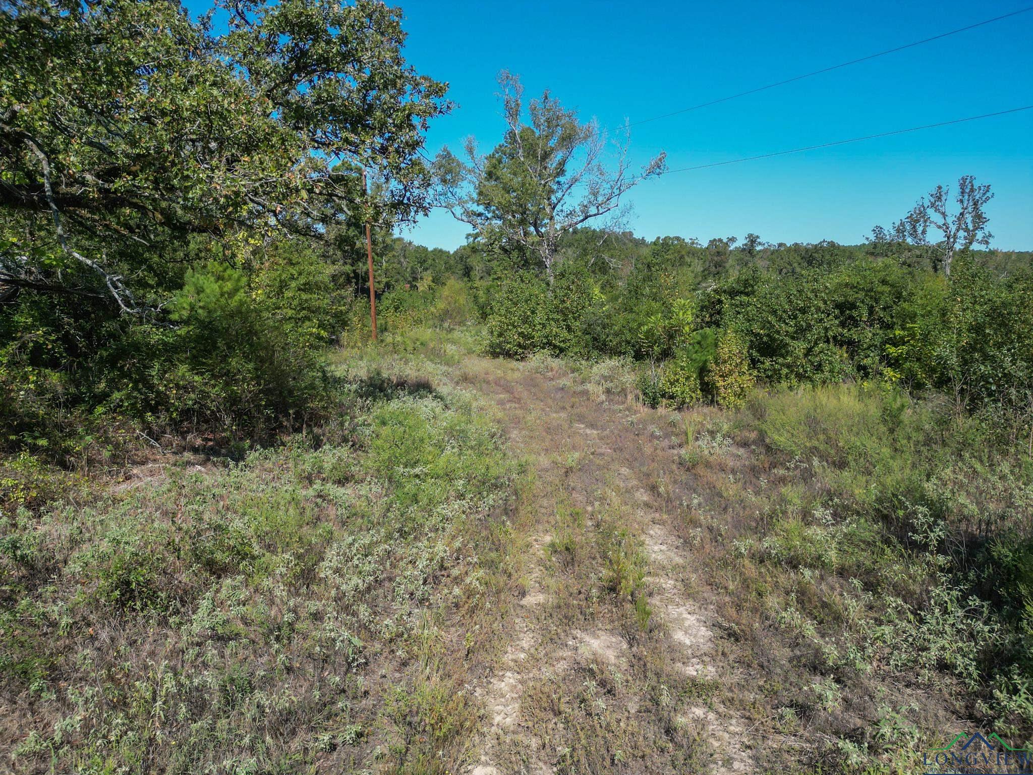 TBD Fm 555, Gilmer, Texas image 3