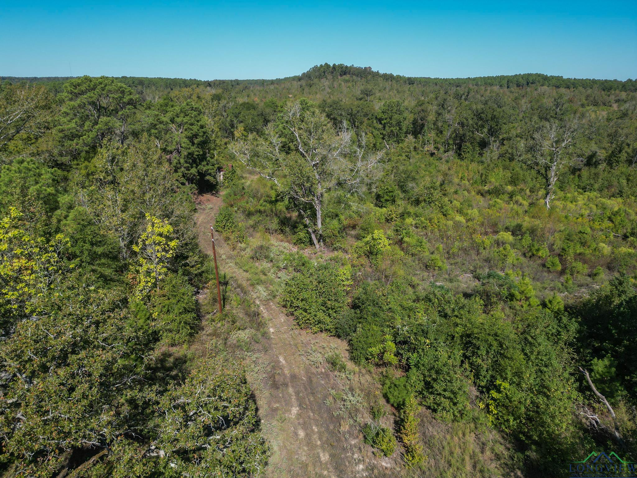 TBD Fm 555, Gilmer, Texas image 4