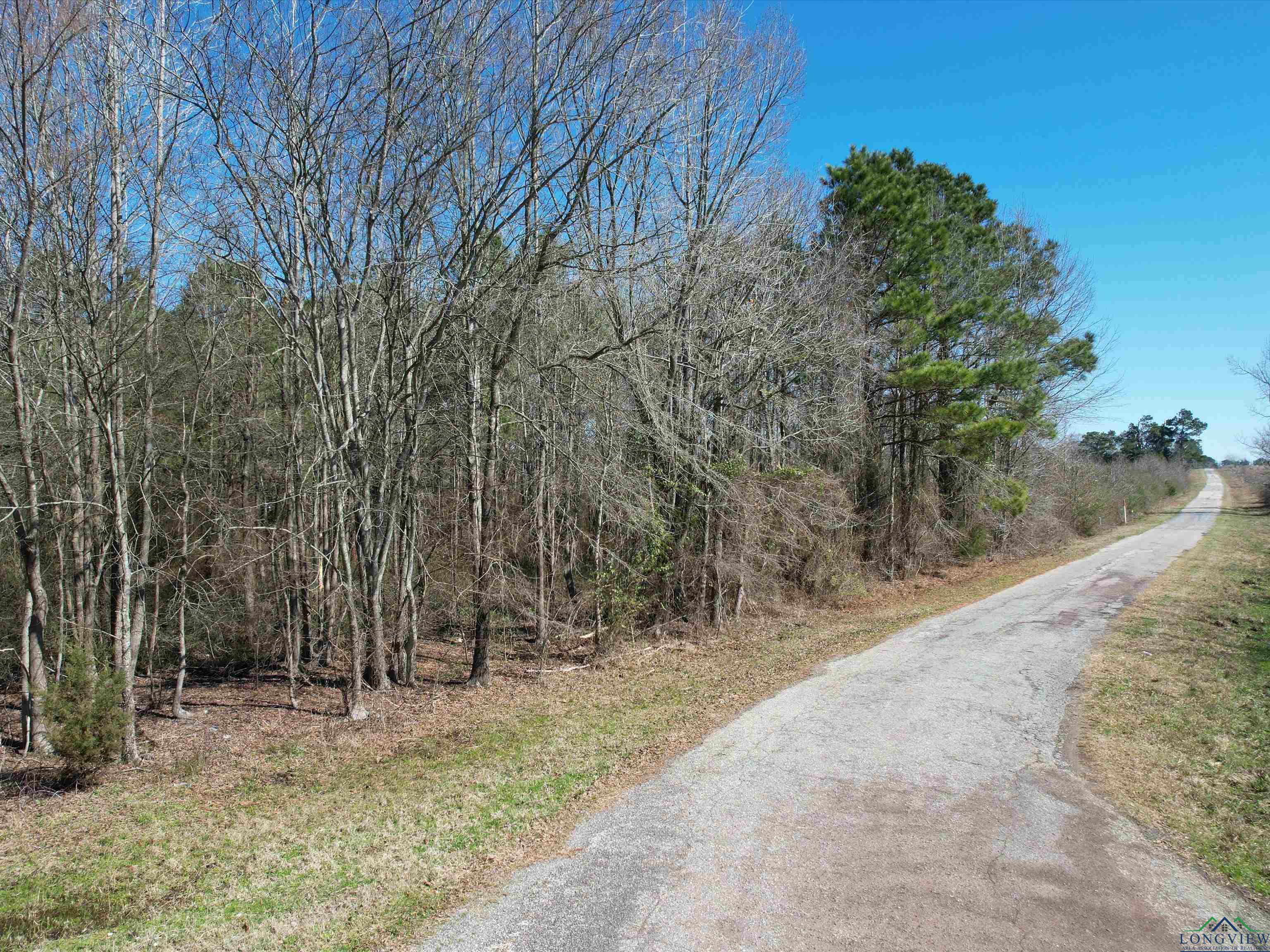 TBD Cr 3204, Daingerfield, Texas image 1