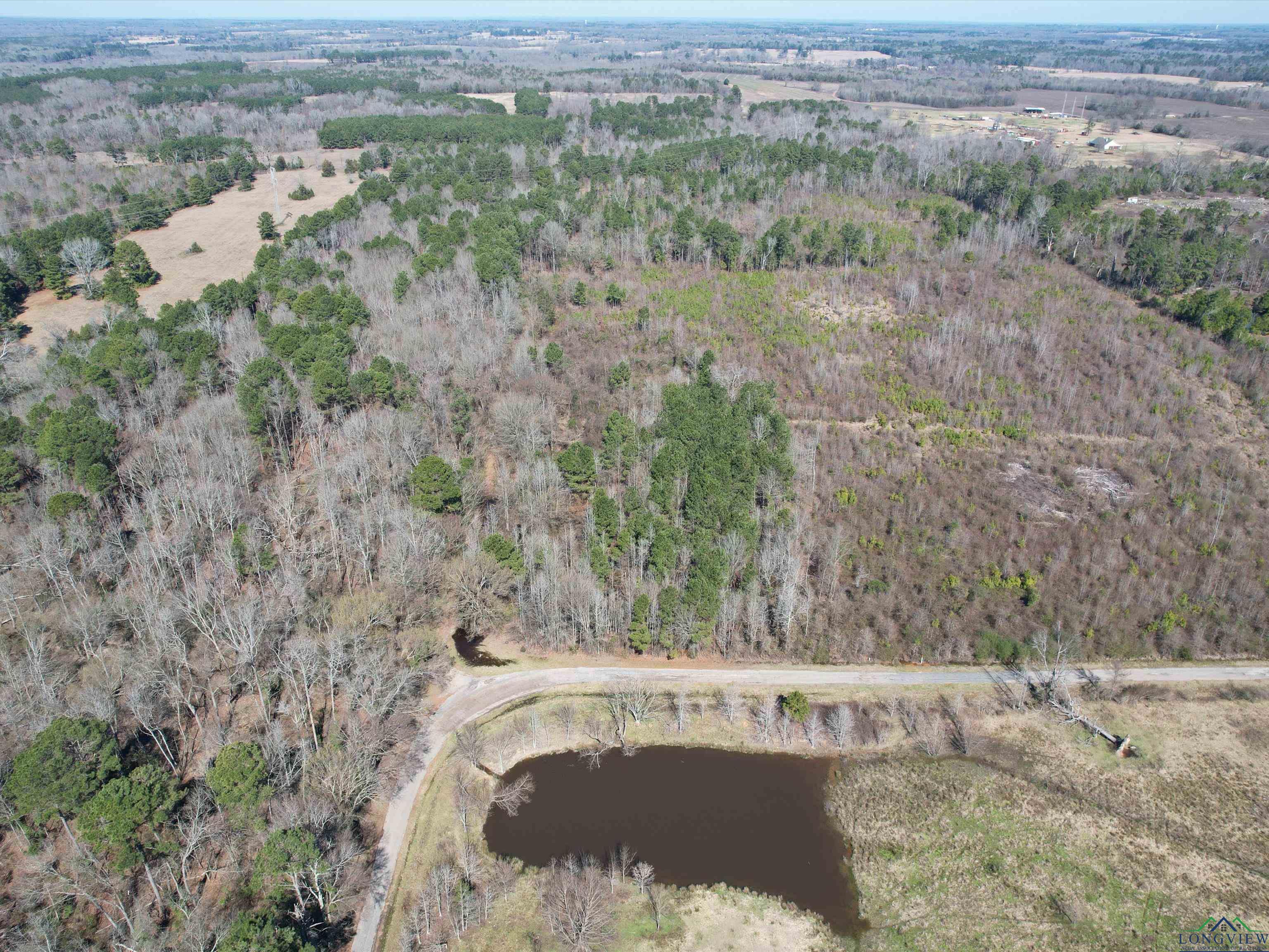 TBD Cr 3204, Daingerfield, Texas image 3