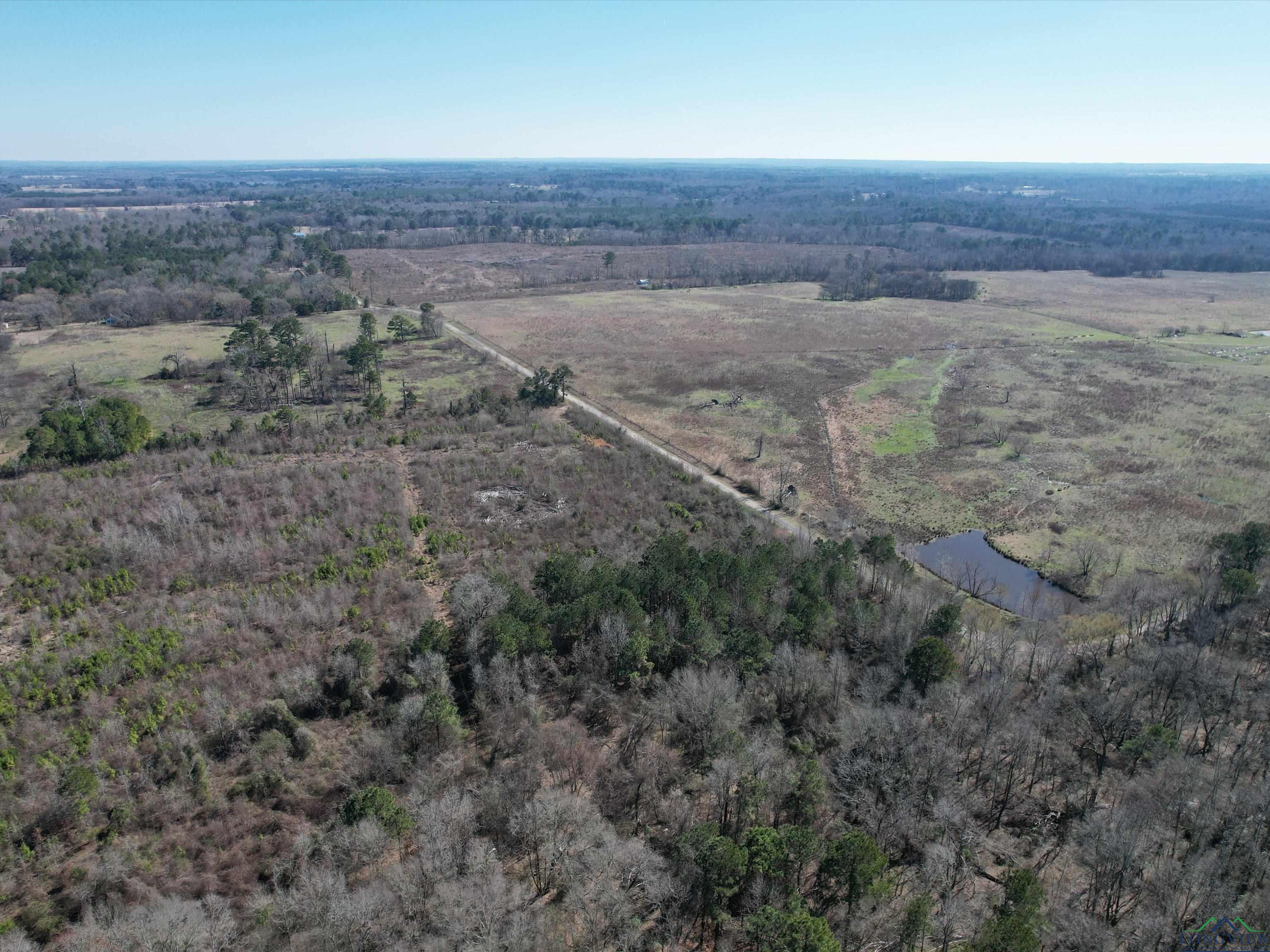 TBD Cr 3204, Daingerfield, Texas image 7