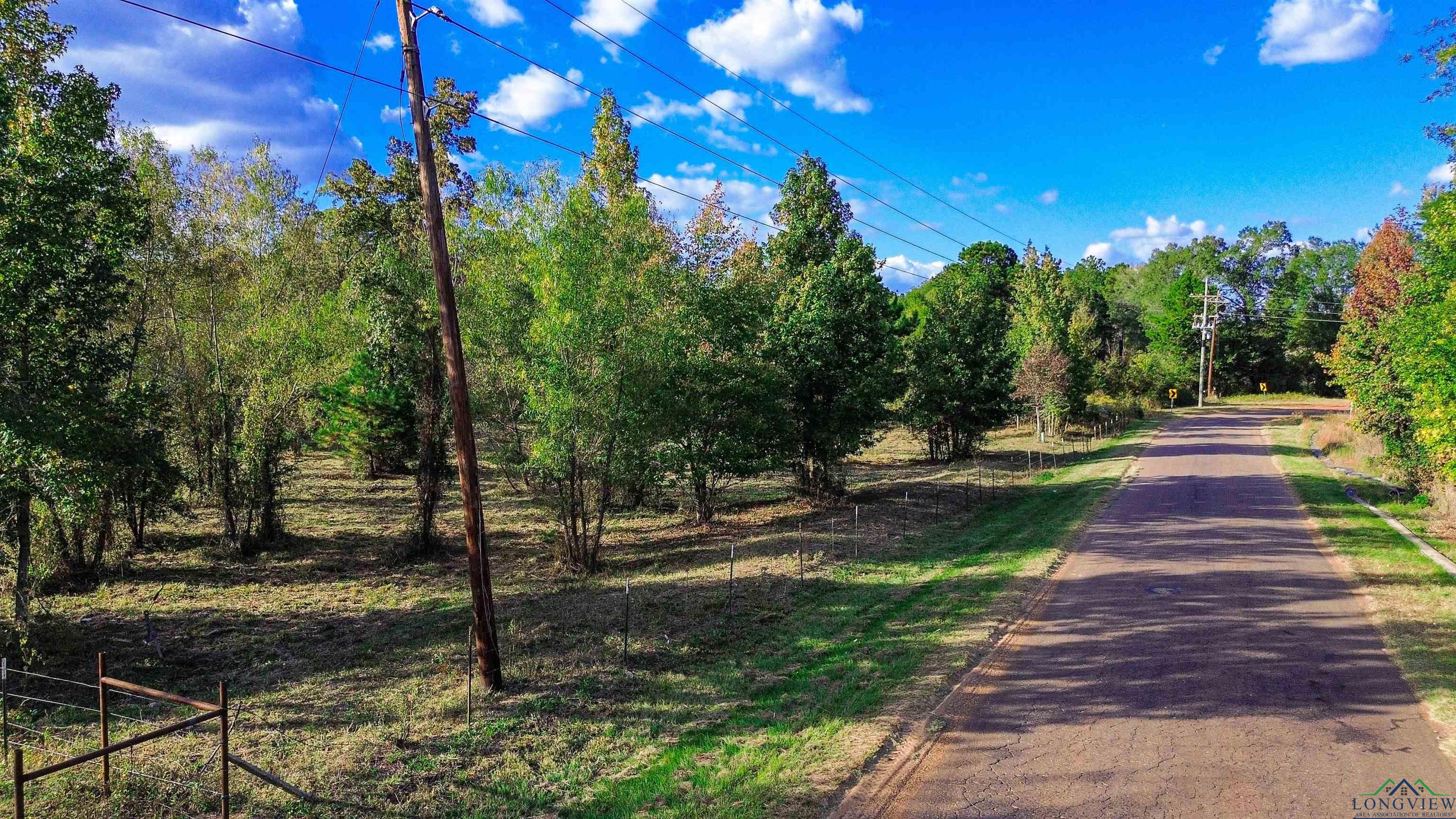 409 W Liberty Rd, Harleton, Texas image 11