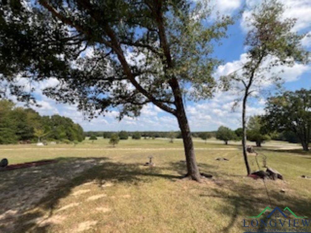 21805 Hwy 69 S, Bullard, Texas image 5