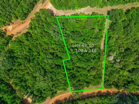 Vacant Land For Sale - TBD Indian Mound Lake Lots 49, 50, 109, And 110<br/> Wood County, Hawkins, TX 75765