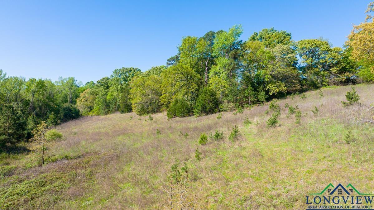 596 Anderson Rd, Harleton, Texas image 7