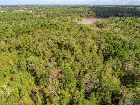 Vacant Land For Sale - 13.3 AC Myrtlewood Trail<br/> Gilmer, TX 75645