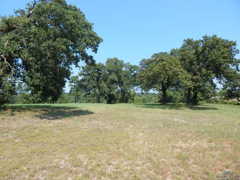 A home in Winnsboro