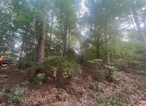 Vacant Land For Sale - TBD Corvette Street<br/> Ore City, TX 75683