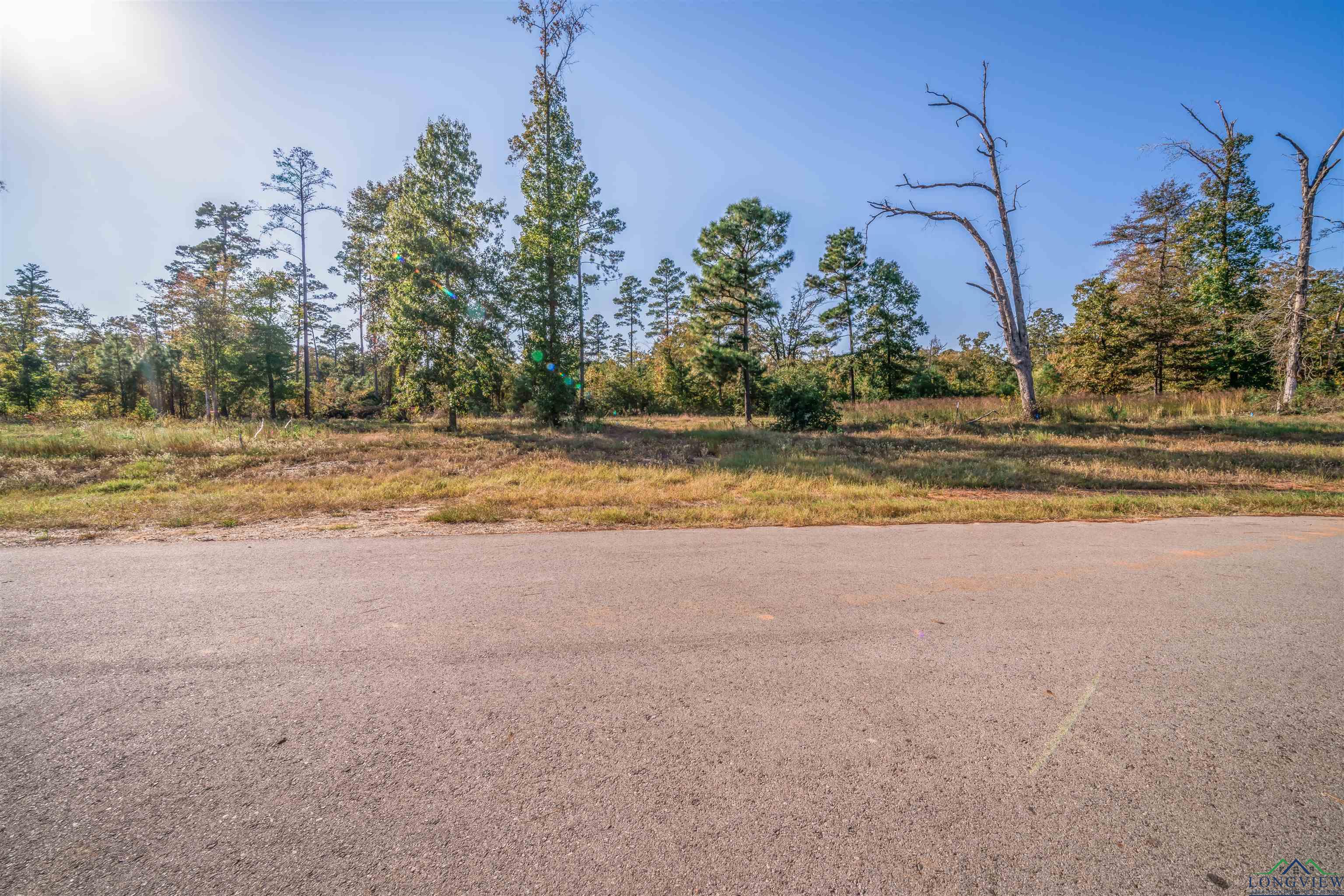 250 S Granite Lane, Hallsville, Texas image 12