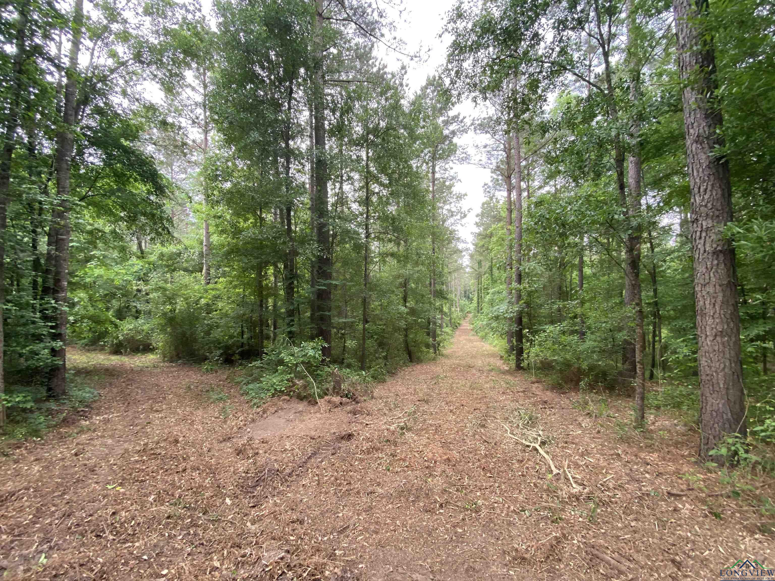 5511 E Snapdragon Rd, Ore City, Texas image 9