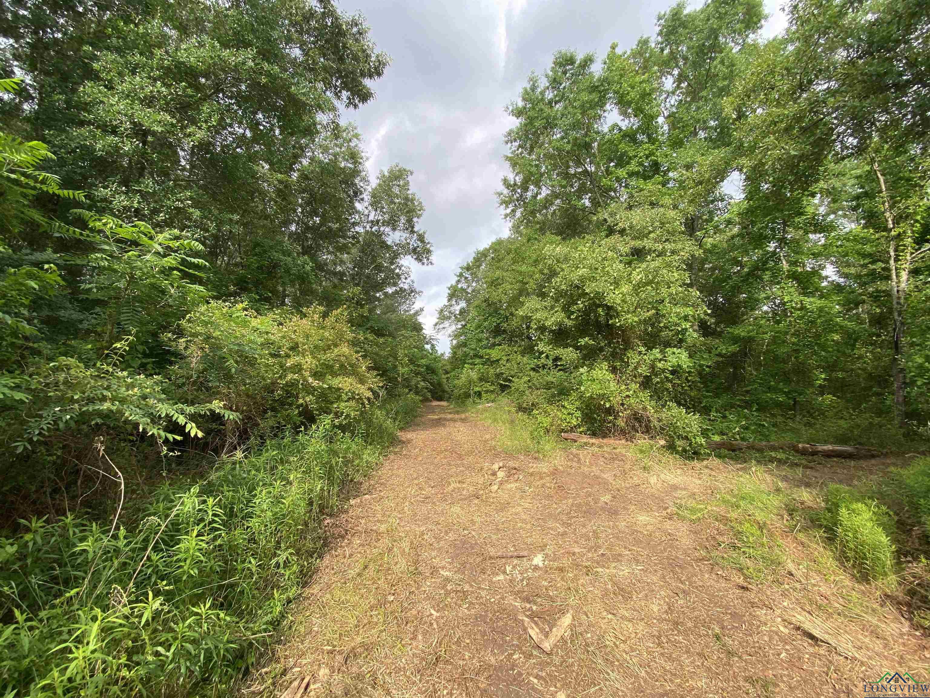 5511 E Snapdragon Rd, Ore City, Texas image 16