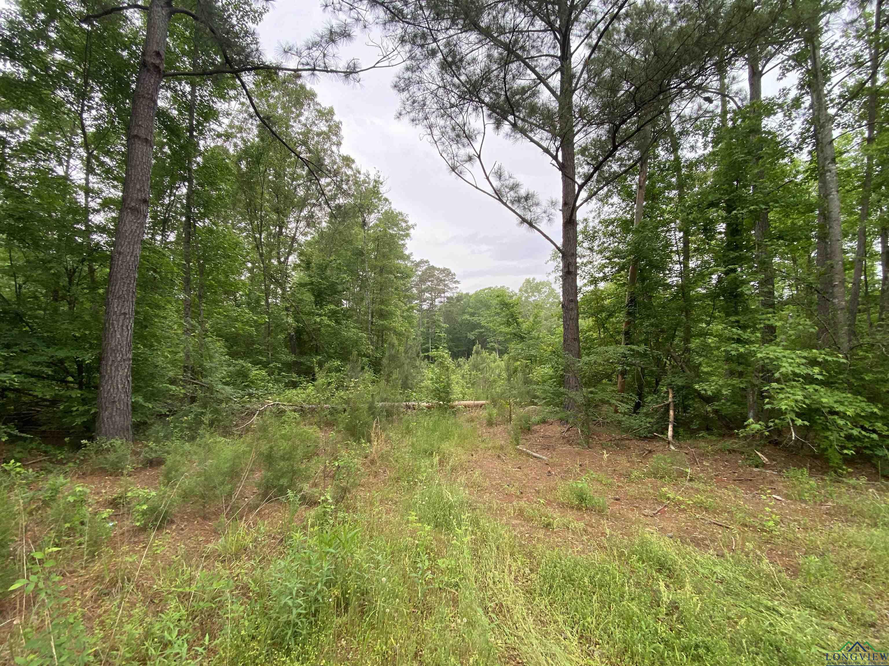 5511 E Snapdragon Rd, Ore City, Texas image 7