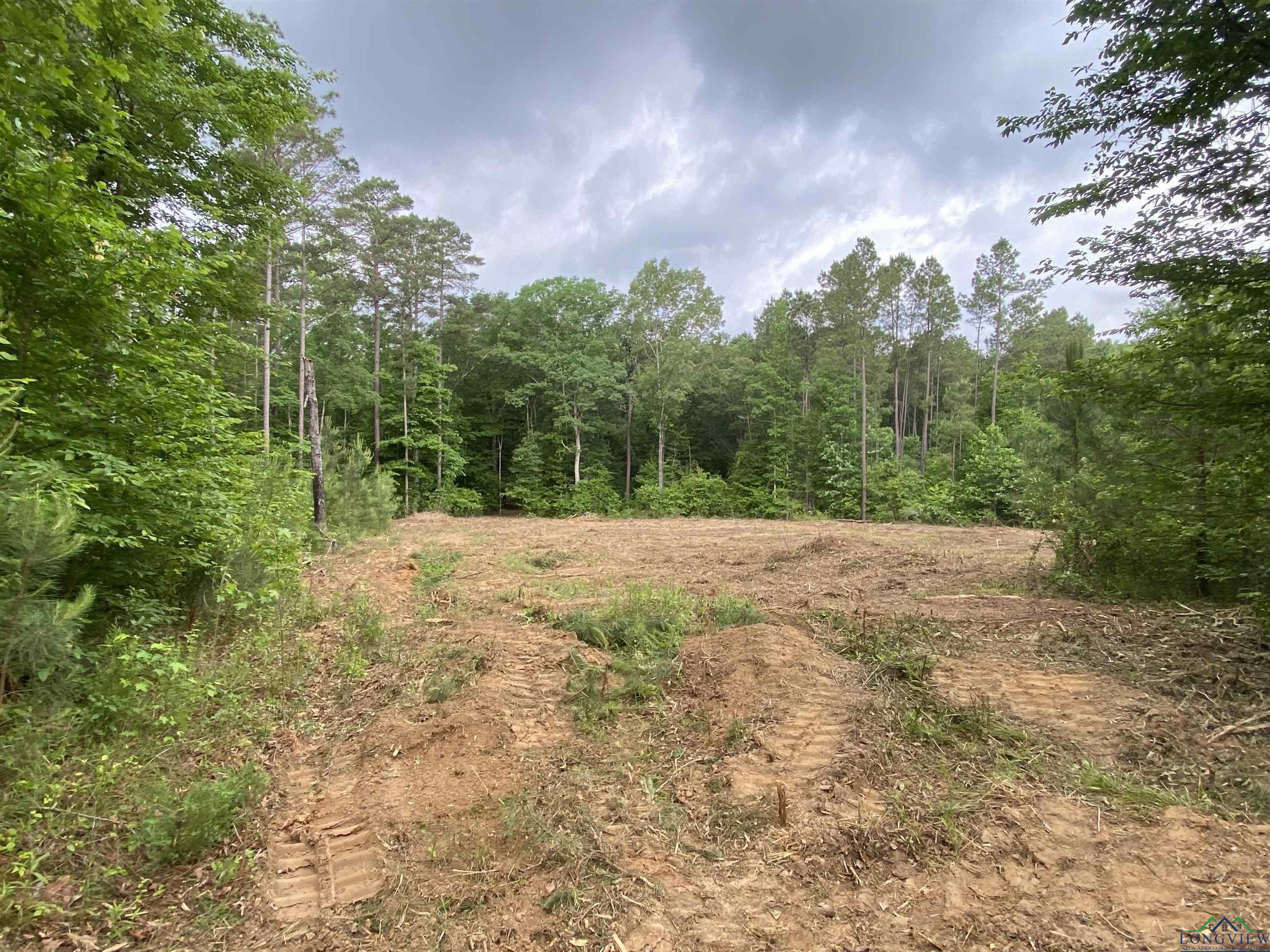 5511 E Snapdragon Rd, Ore City, Texas image 2