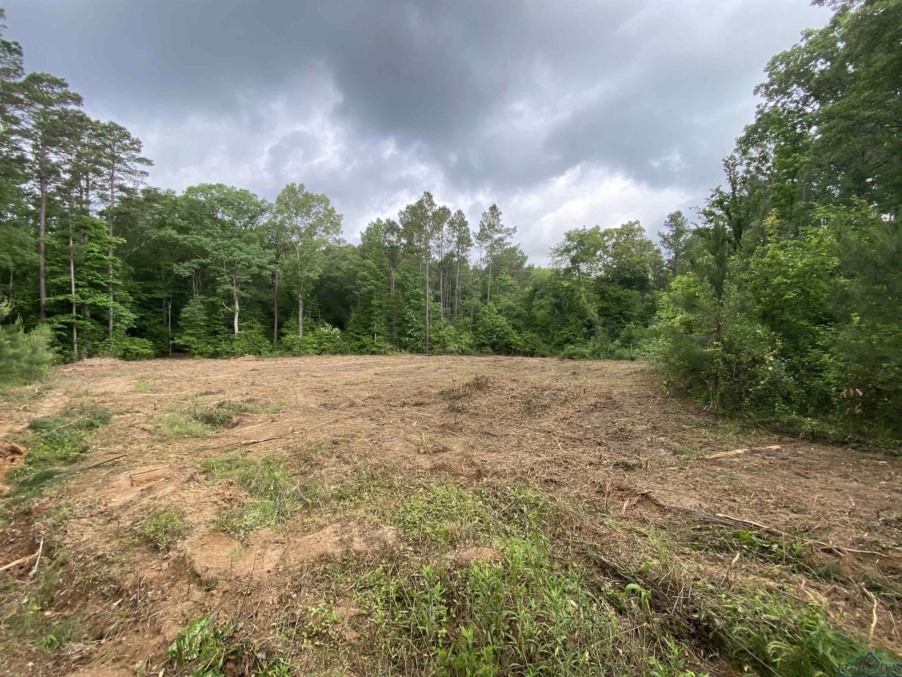 5511 E Snapdragon Rd, Ore City, Texas image 1