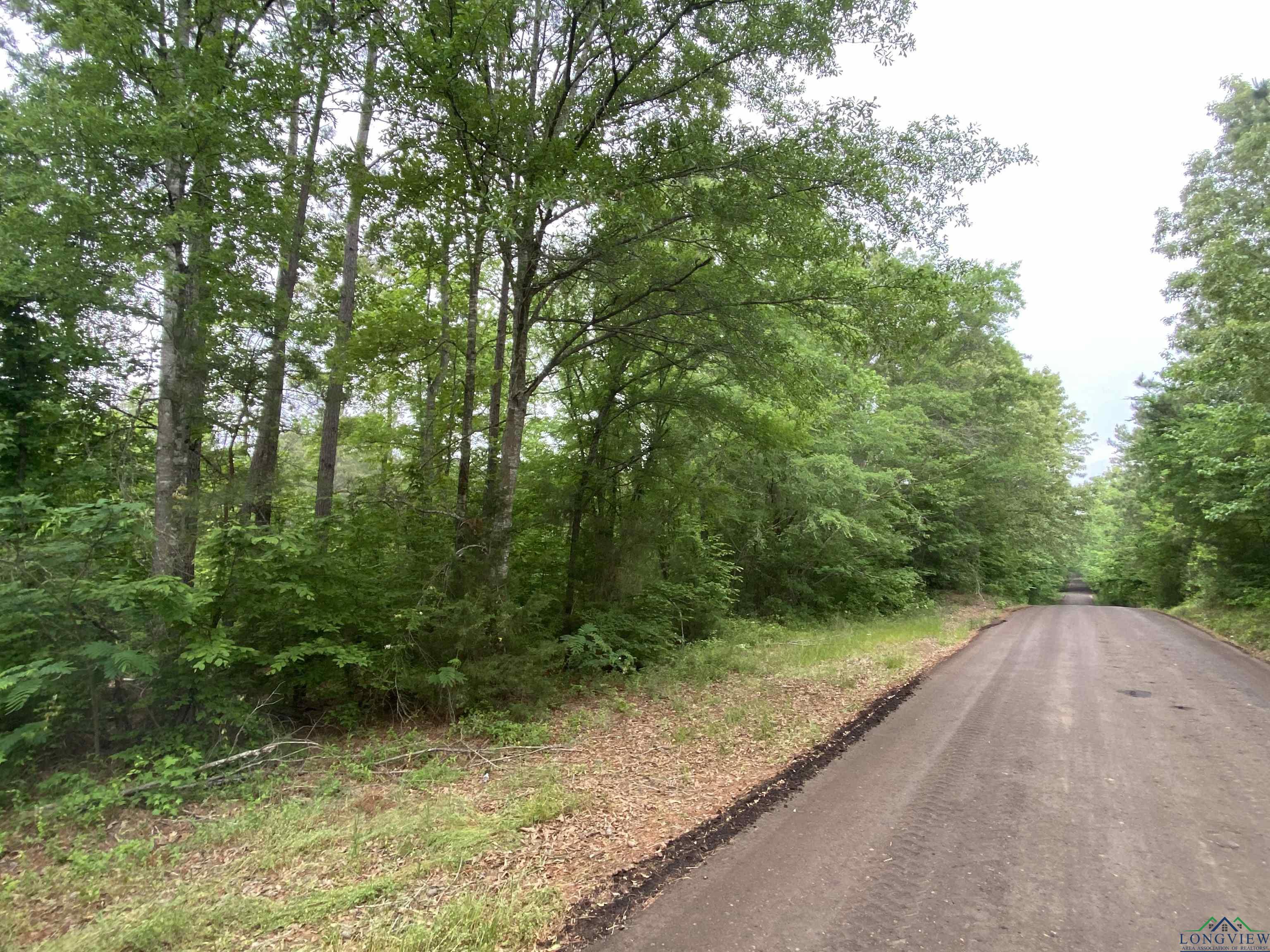 5511 E Snapdragon Rd, Ore City, Texas image 11
