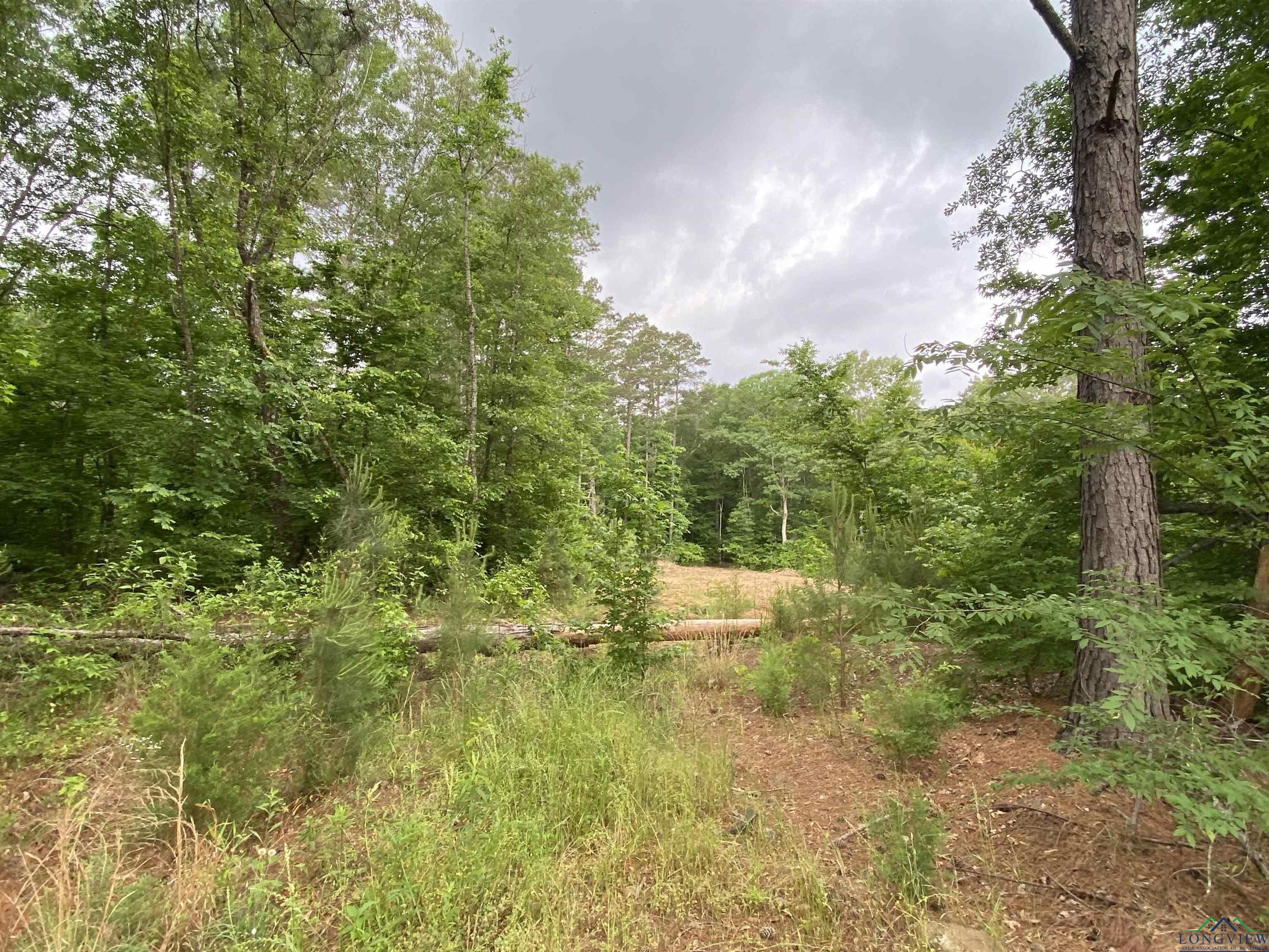 5511 E Snapdragon Rd, Ore City, Texas image 13
