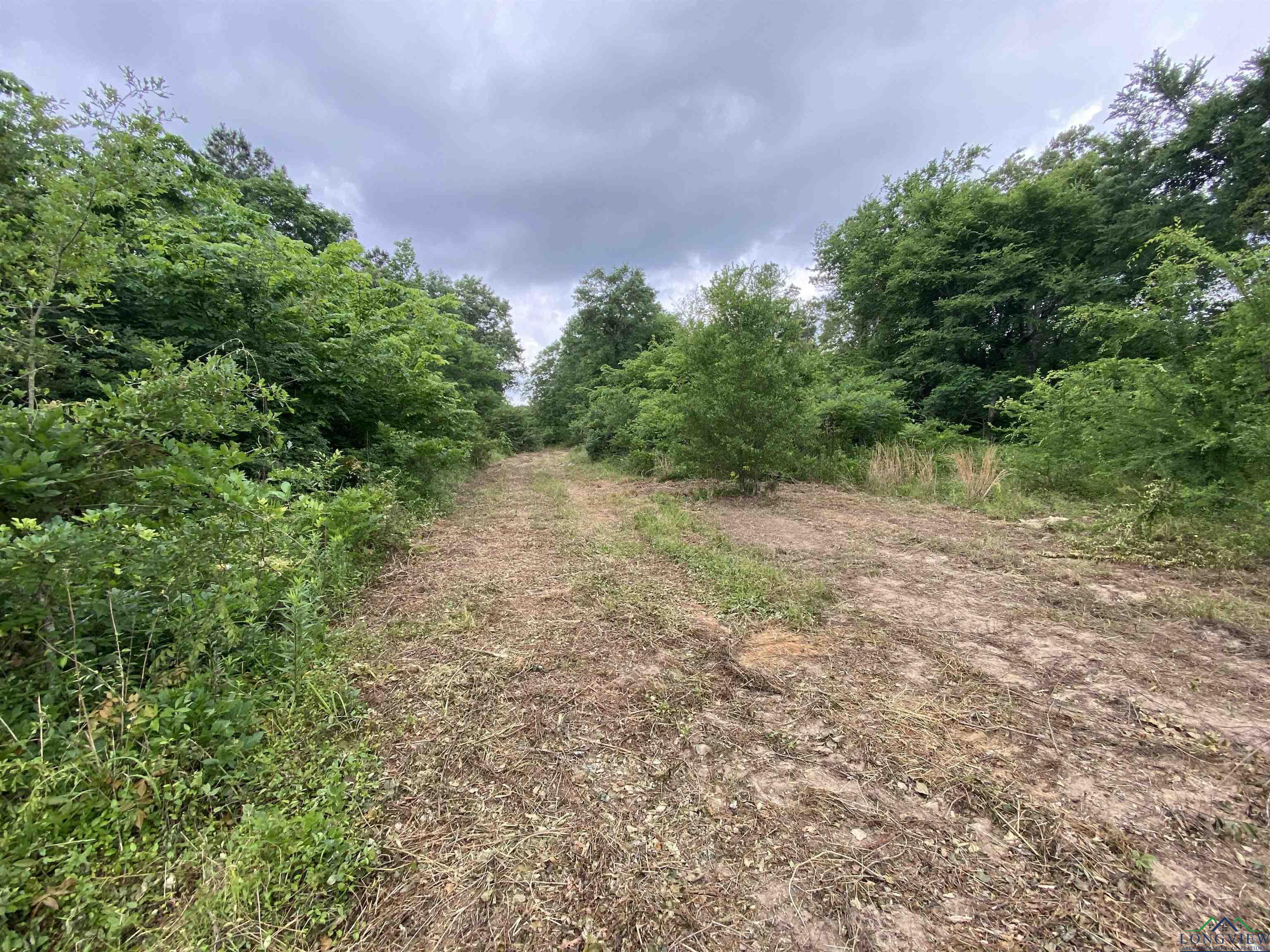 5511 E Snapdragon Rd, Ore City, Texas image 3