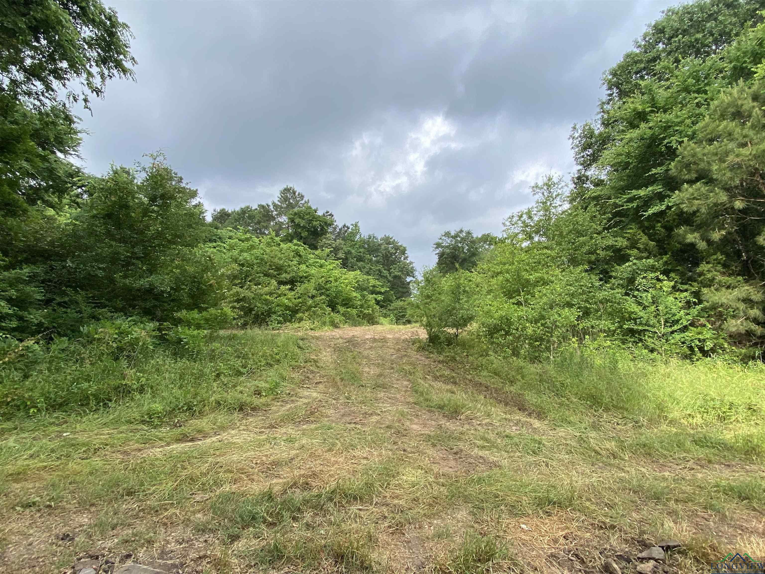 5511 E Snapdragon Rd, Ore City, Texas image 12