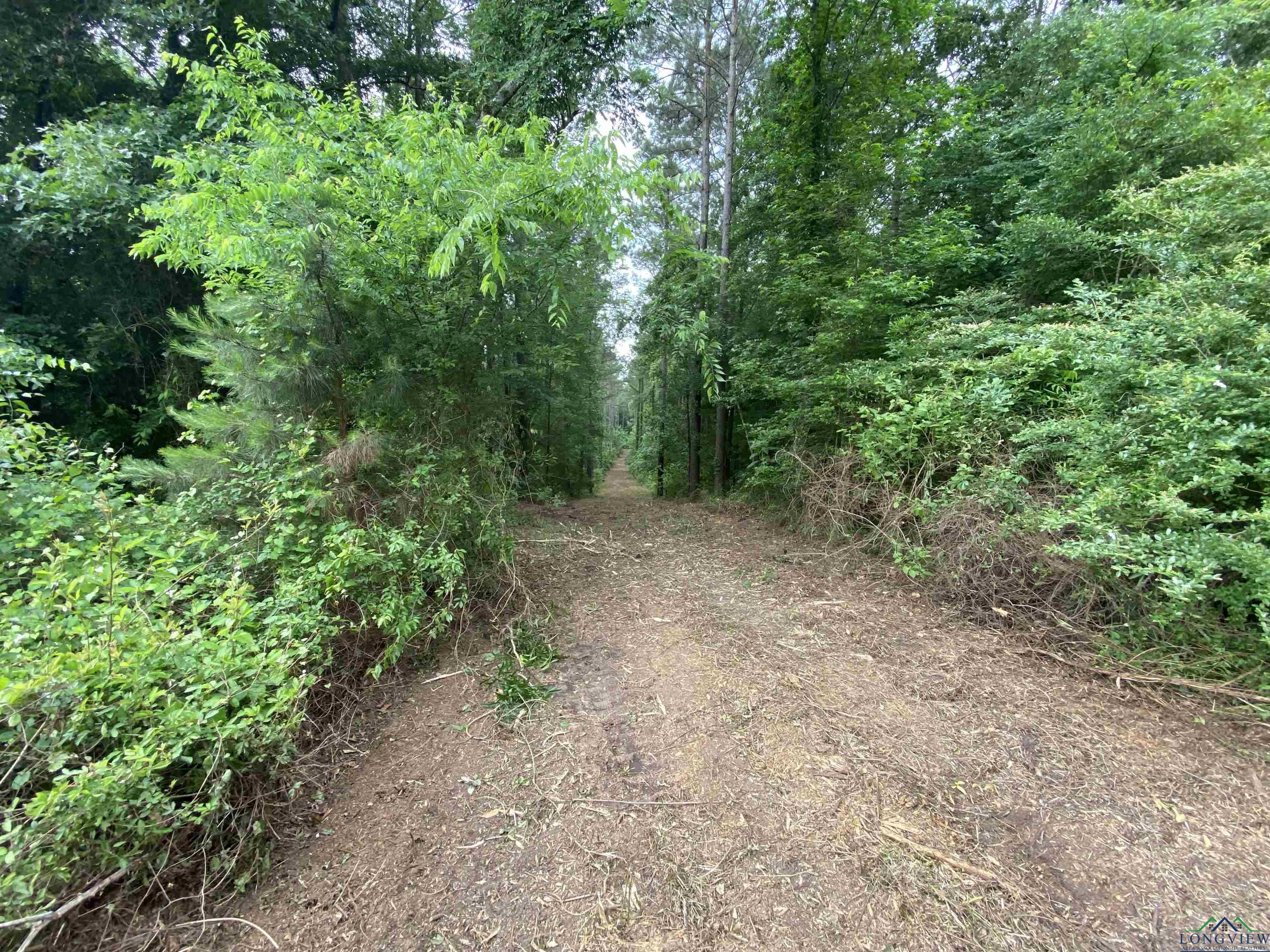 5511 E Snapdragon Rd, Ore City, Texas image 15