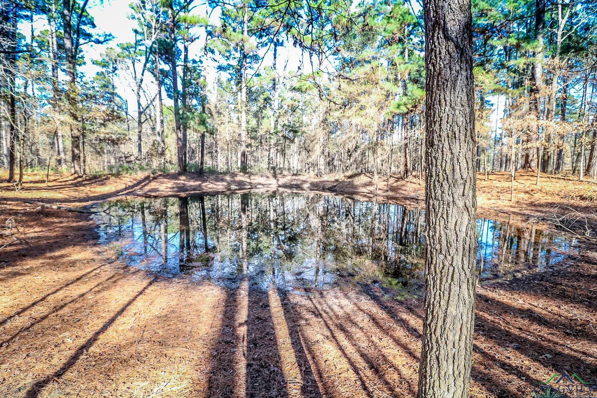 28 AC Fm 134, Jefferson, Texas image 20