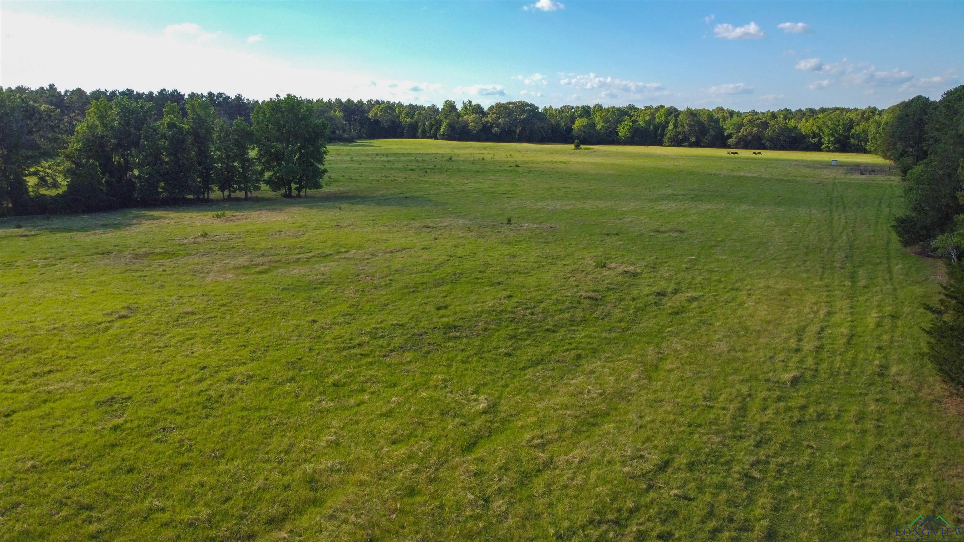 TBD Cr 4673, Atlanta, Texas image 17