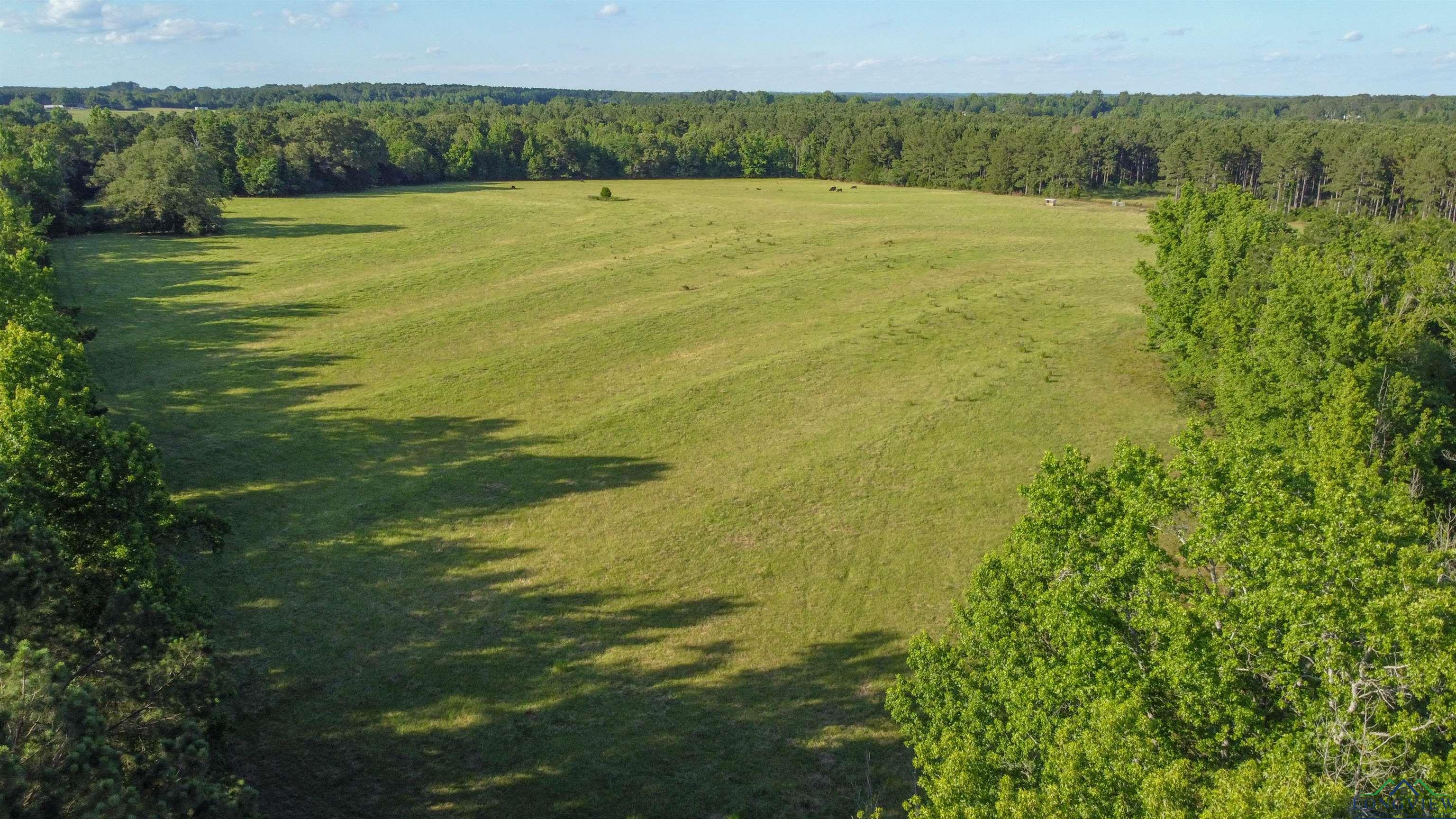 TBD Cr 4673, Atlanta, Texas image 6