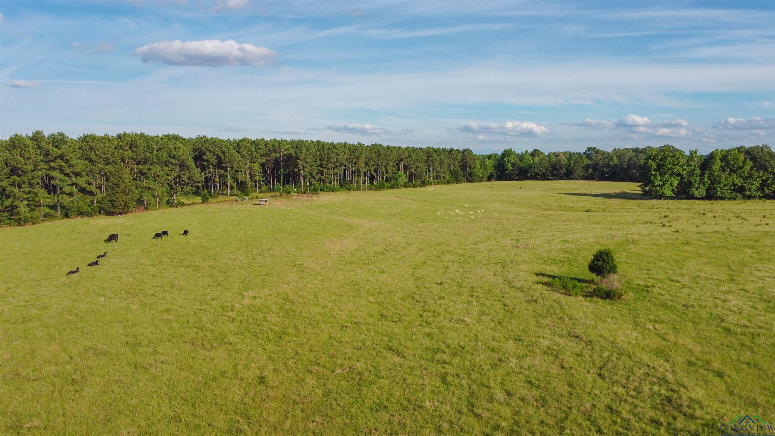 TBD Cr 4673, Atlanta, Texas image 19