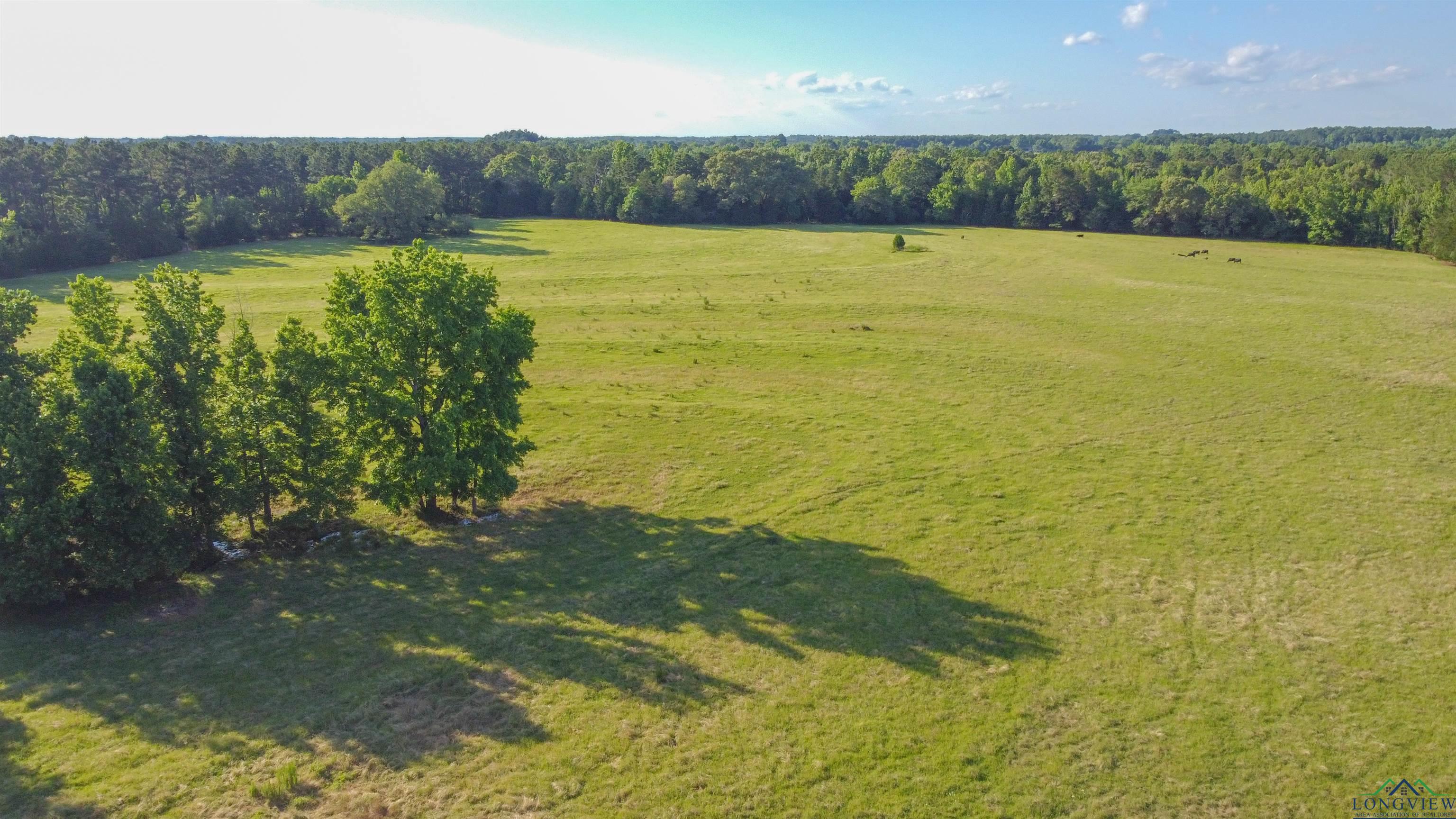 TBD Cr 4673, Atlanta, Texas image 16