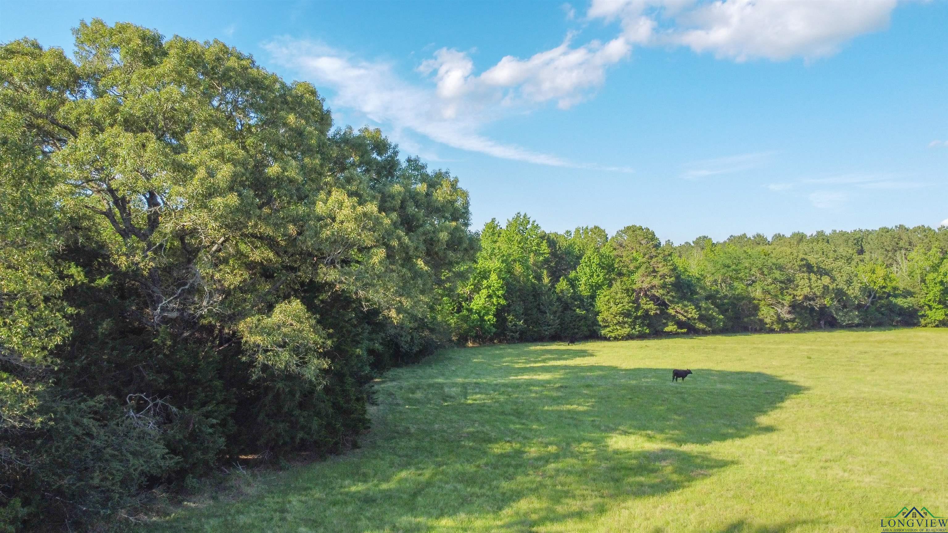 TBD Cr 4673, Atlanta, Texas image 7