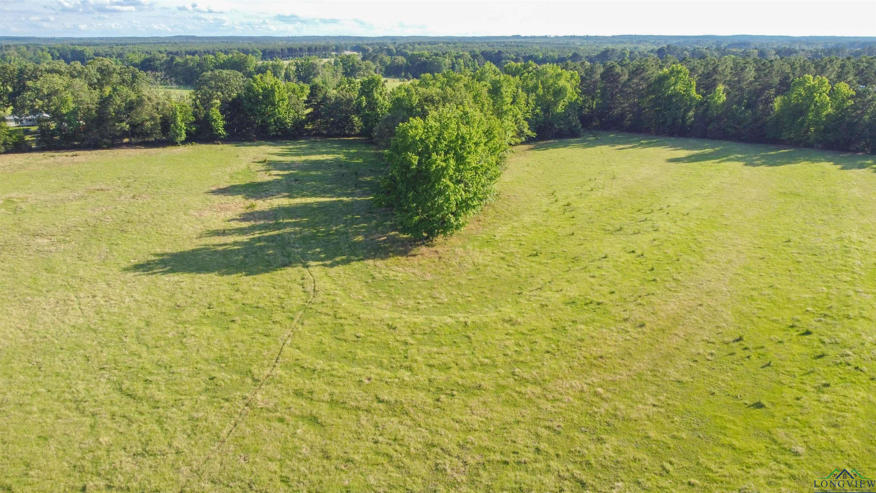 TBD Cr 4673, Atlanta, Texas image 15