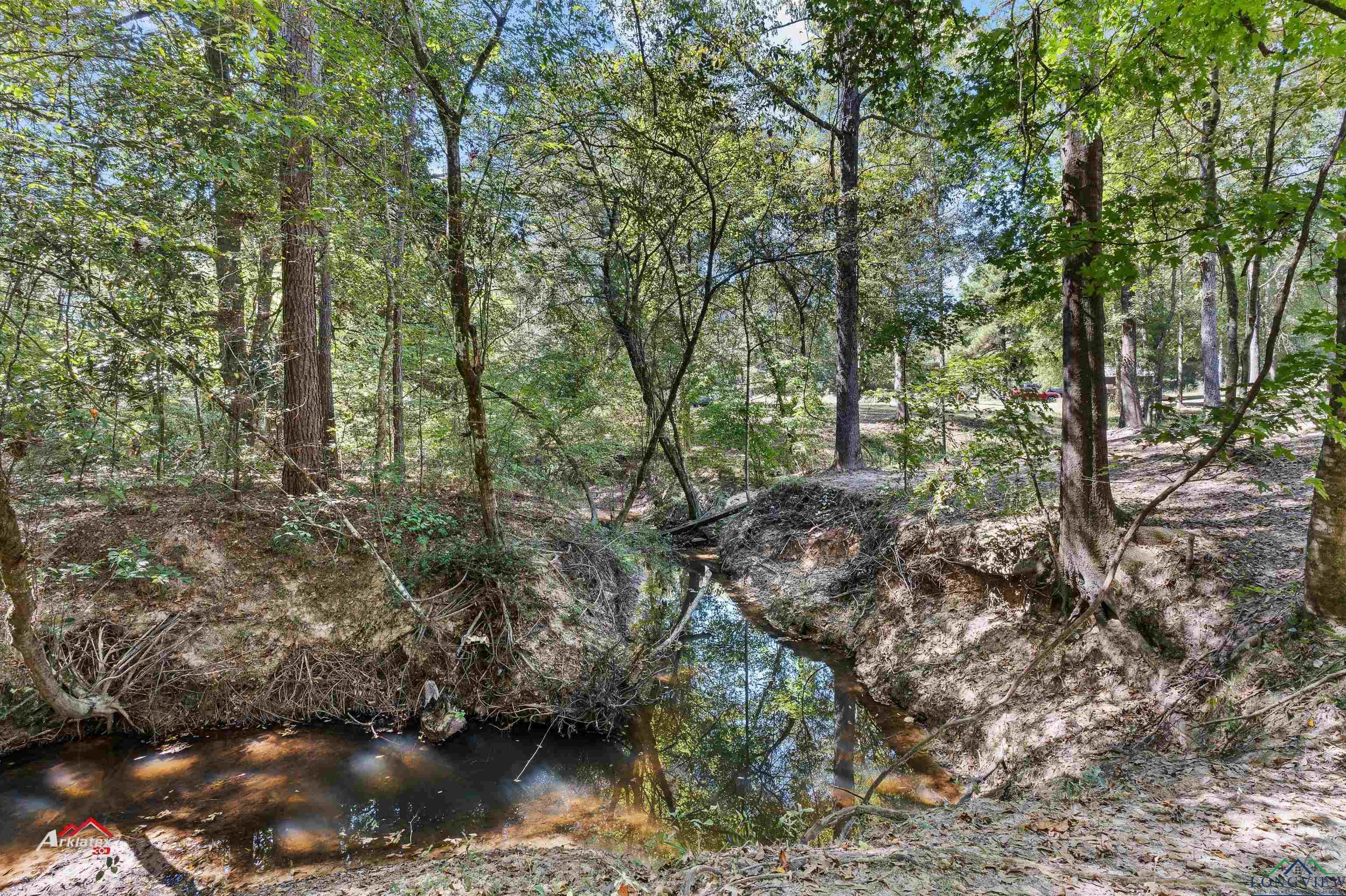 988 Cr 456, Carthage, Texas image 18