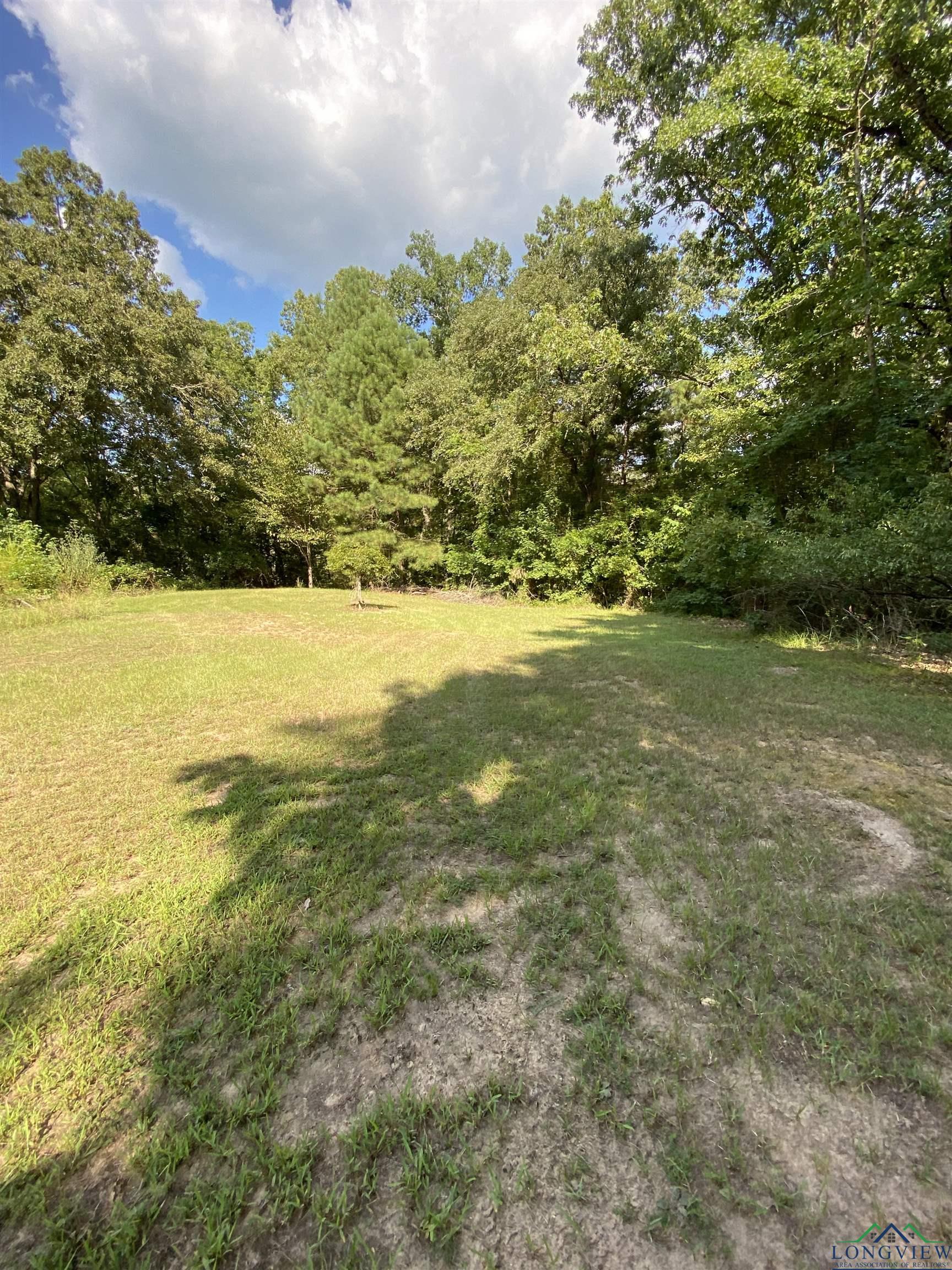 670 Seminole Loop, Jefferson, Texas image 5