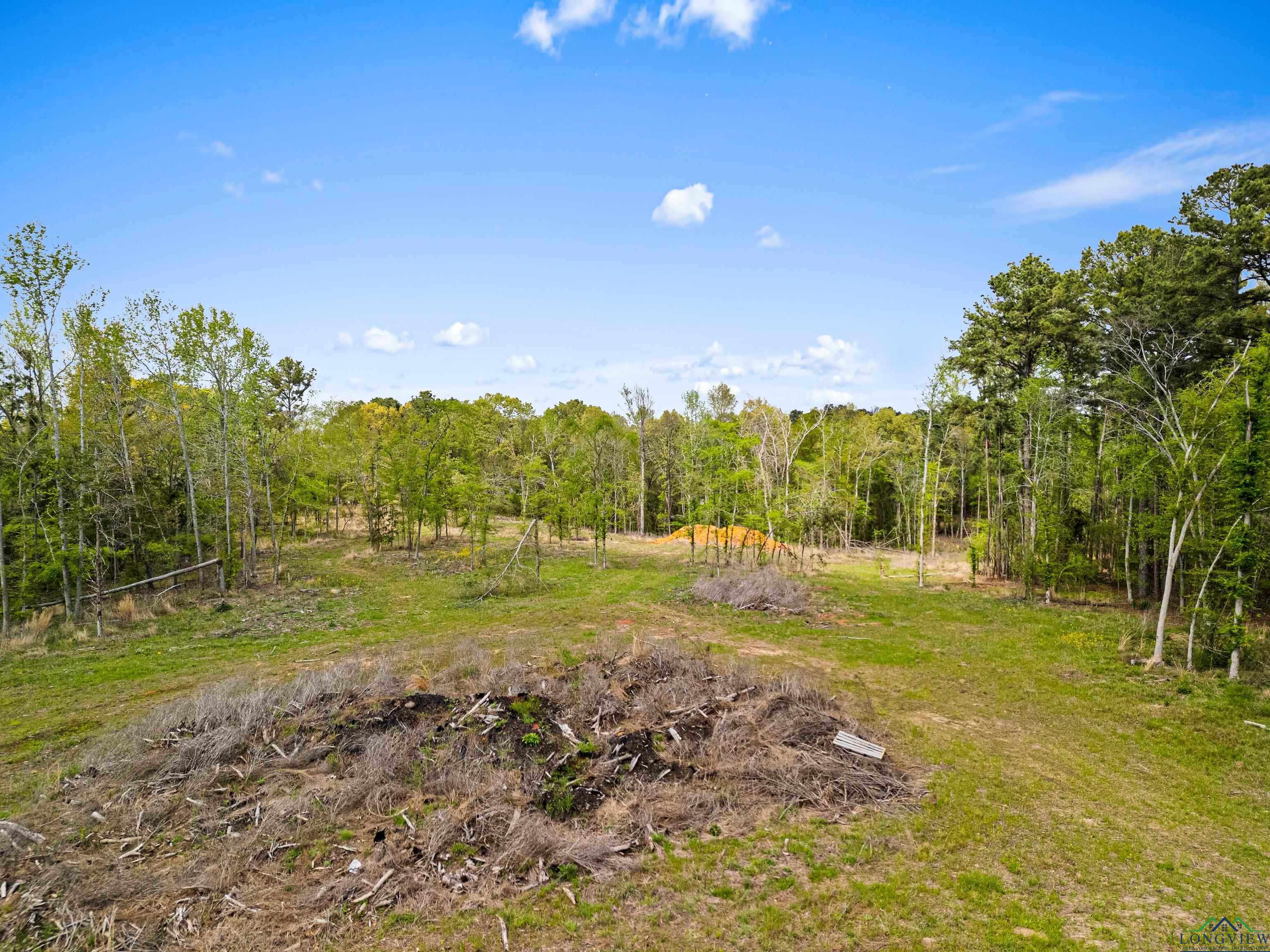 8480 S Goforth Rd, Kilgore, Texas image 14