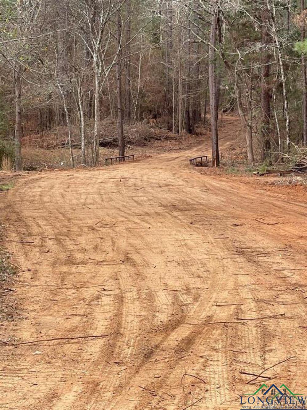 465 Acres Off Watson Rd, Kilgore, Texas image 7