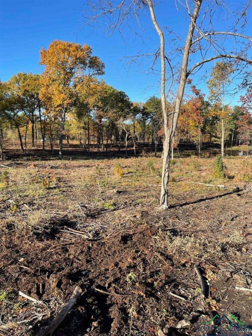 465 Acres Off Watson Rd, Kilgore, Texas image 11